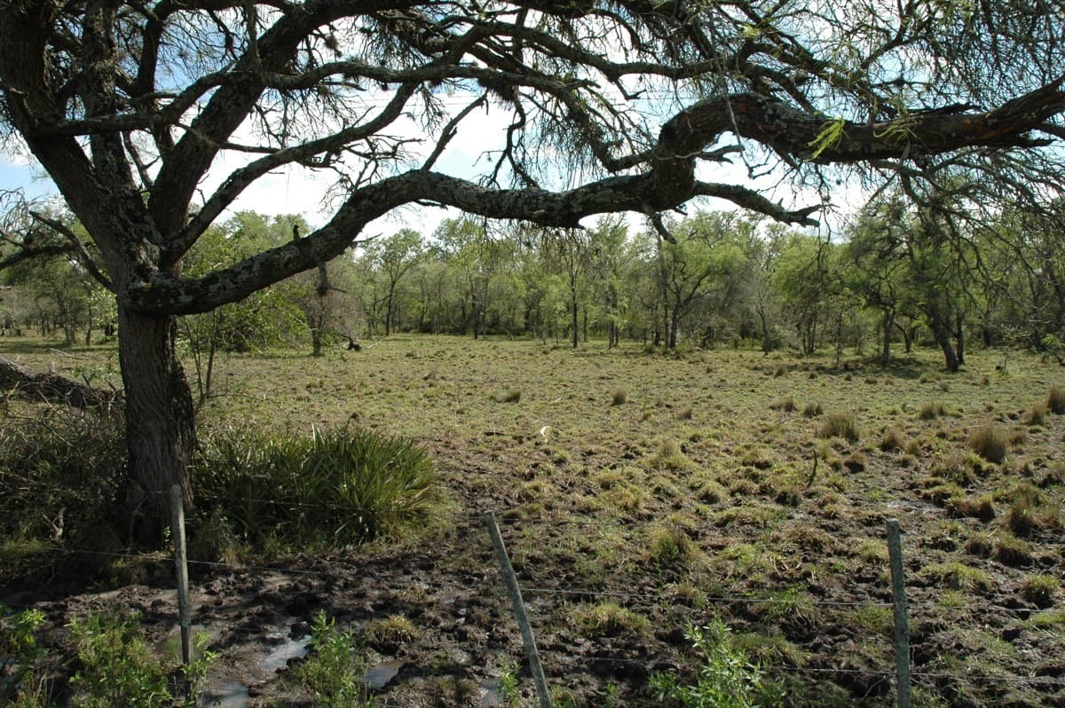 Chaco National Park, Corrientes