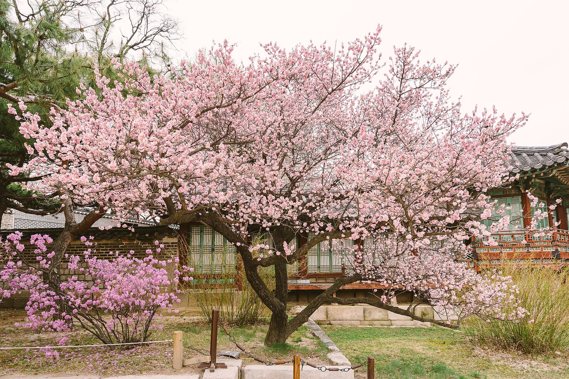 Changgyeonggung Palace, Seoul