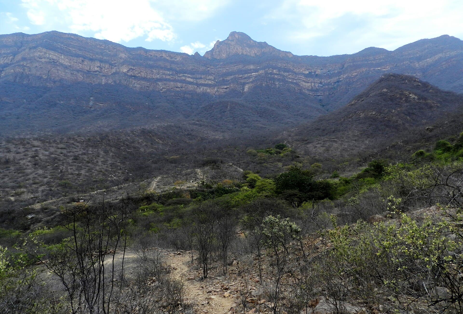 Chaparrí Ecological Reserve