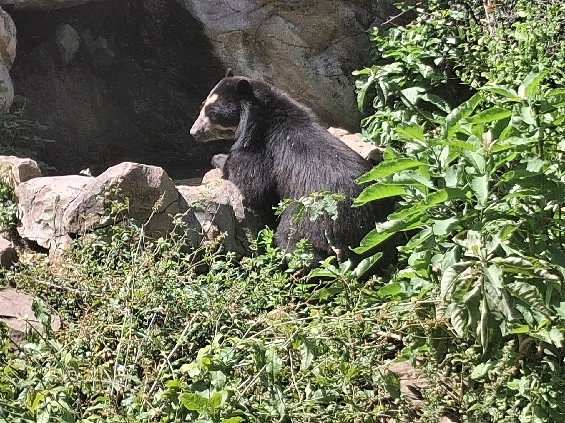 Chaparrí Ecological Reserve