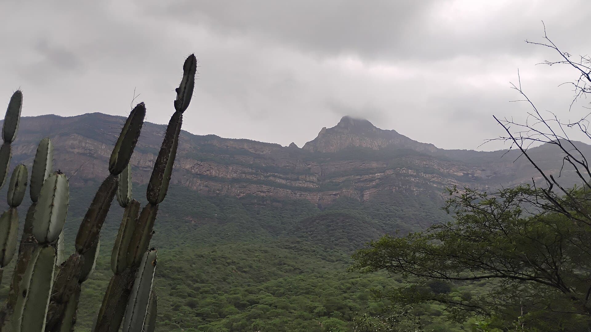 Chaparrí Ecological Reserve