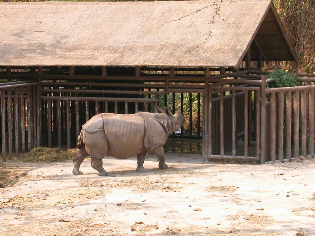 Chiang Mai Zoo, Chiang Mai