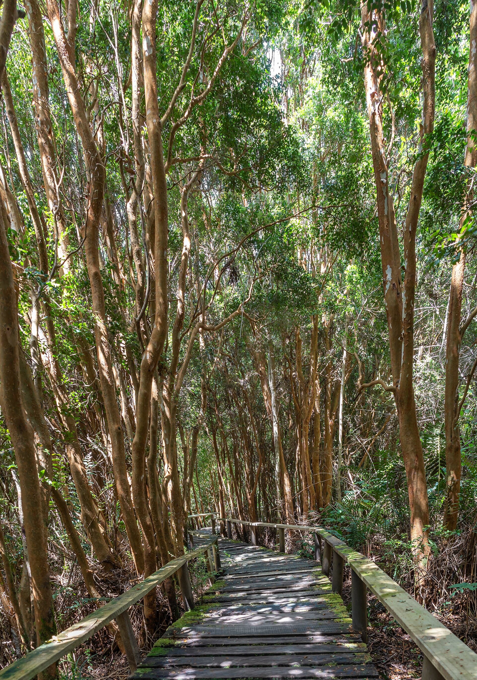 Chiloé National Park