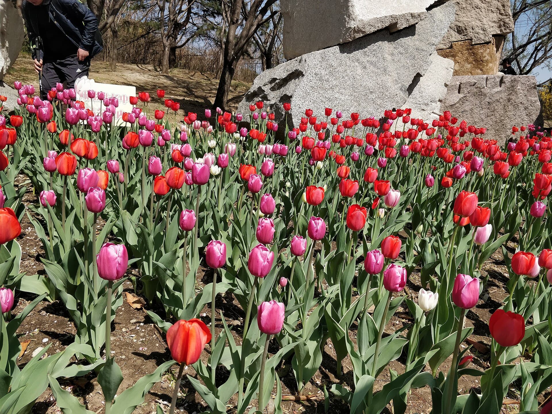 China National Botanical Garden