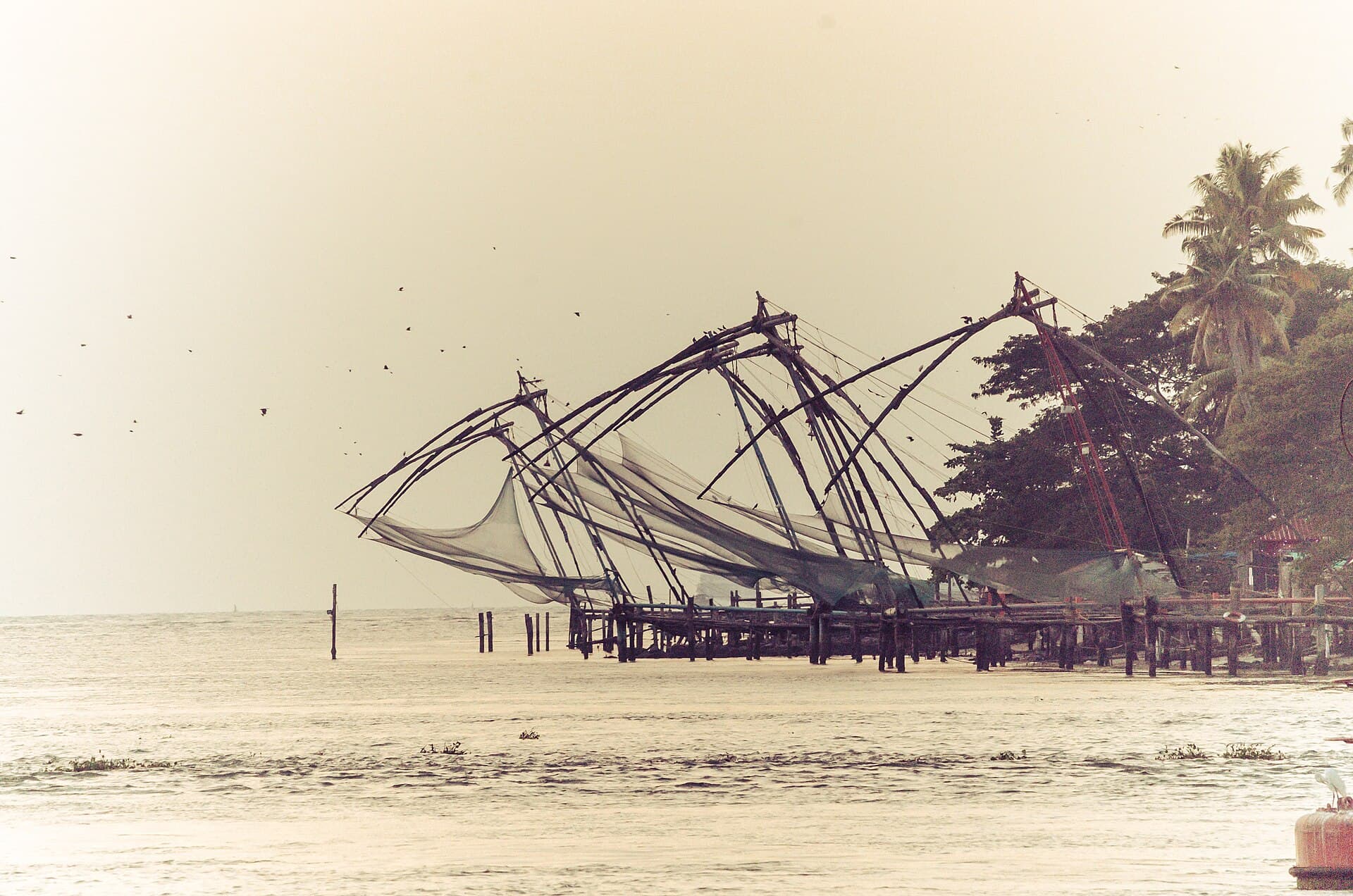 Chinese Fishing Nets