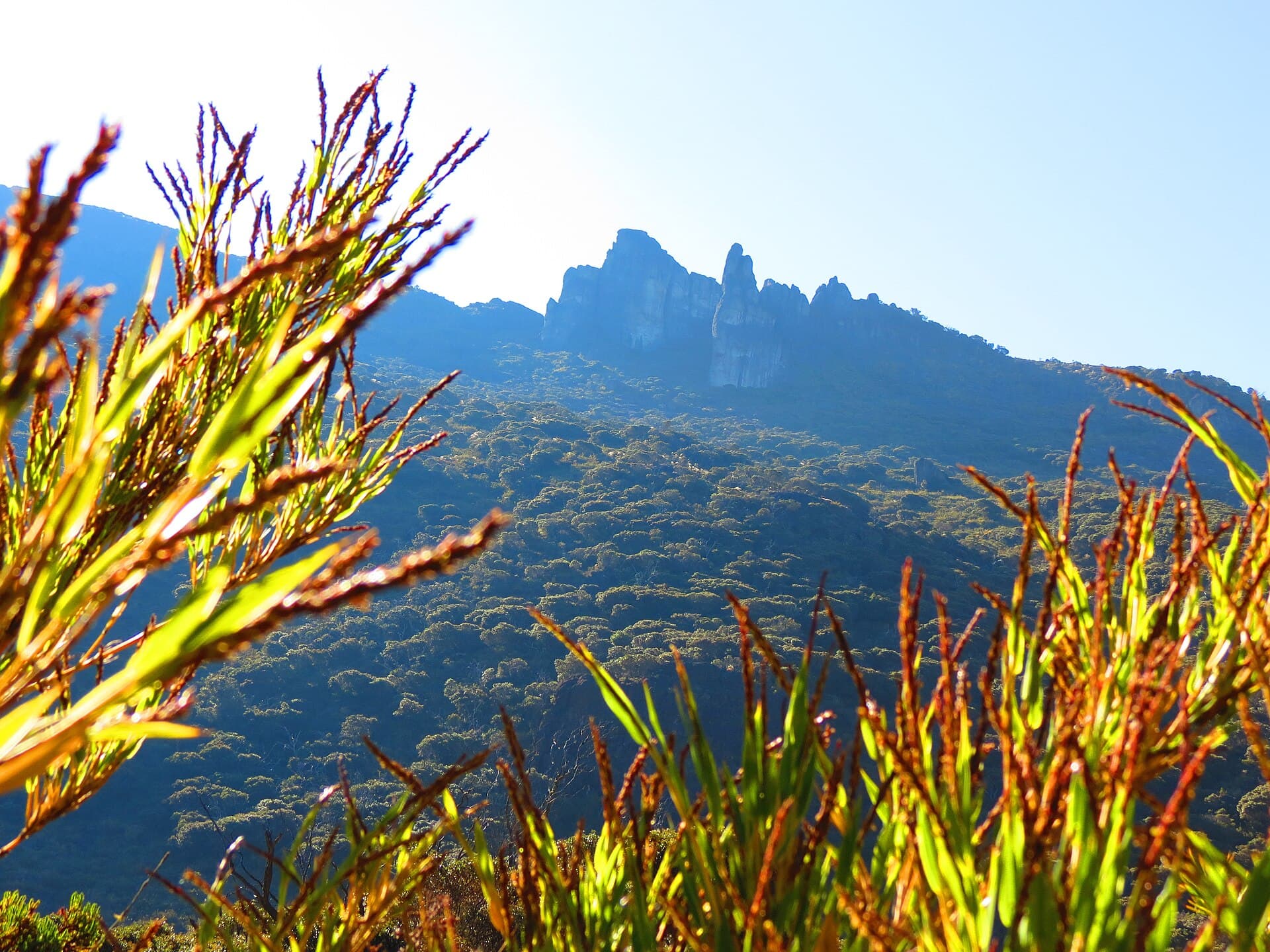 Cerro Chirripó