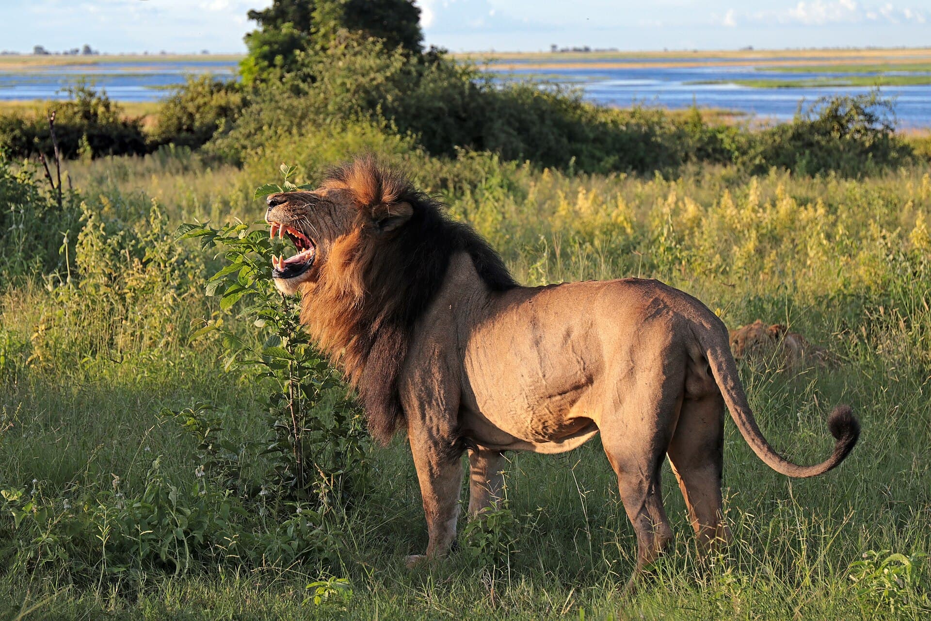 Chobe National Park