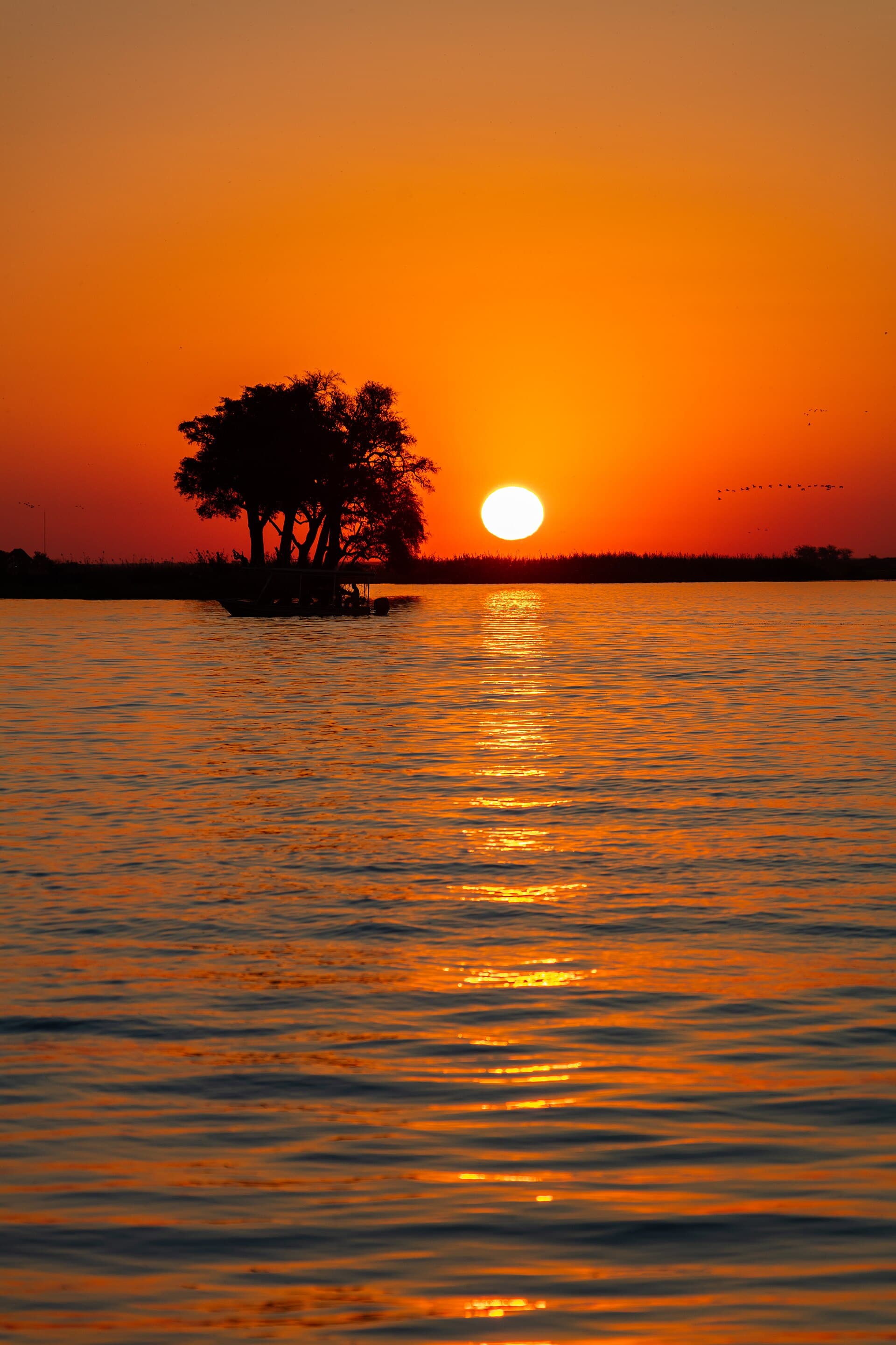Sunset on the Chobe River