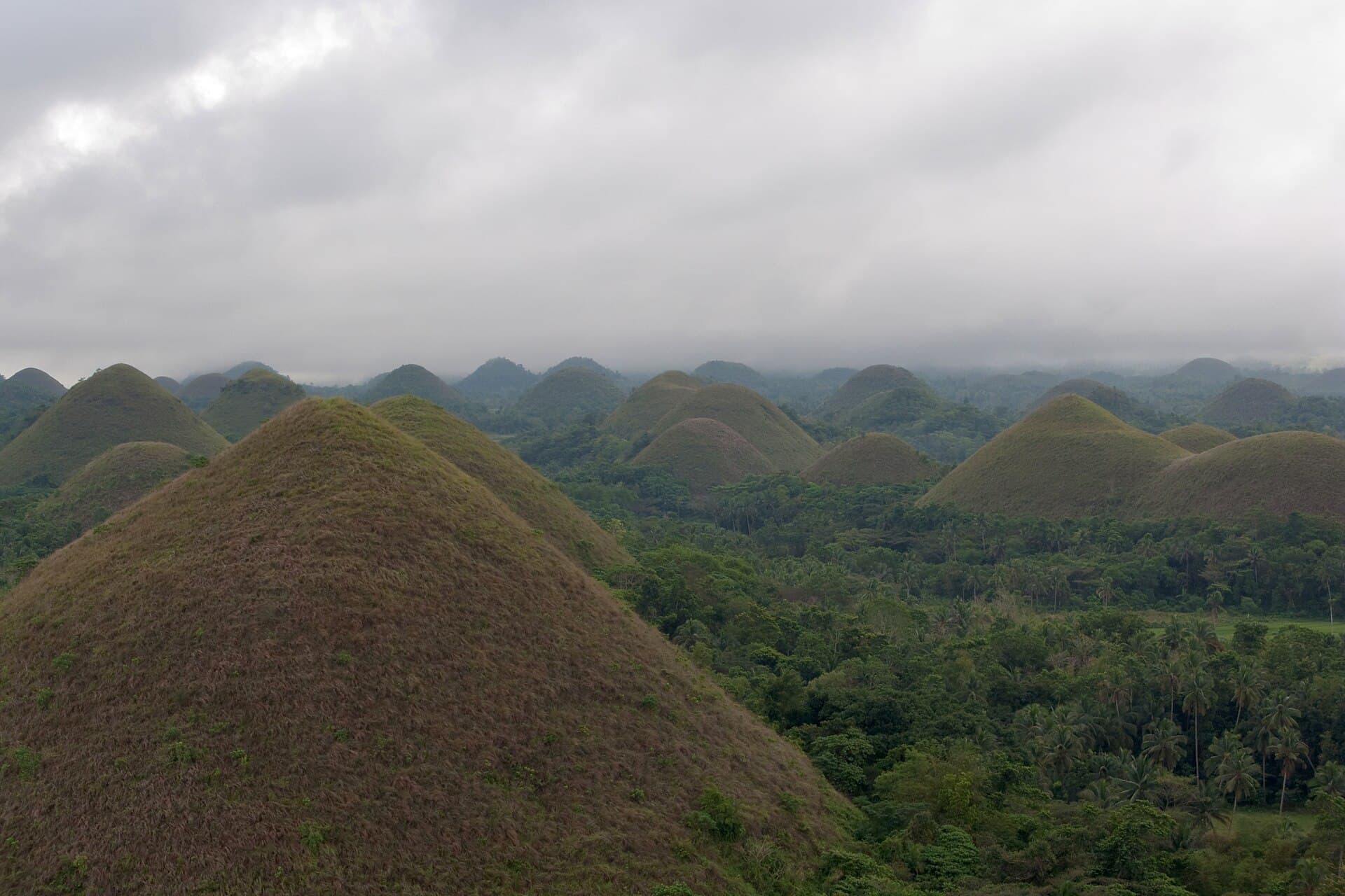 Chocolate Hills