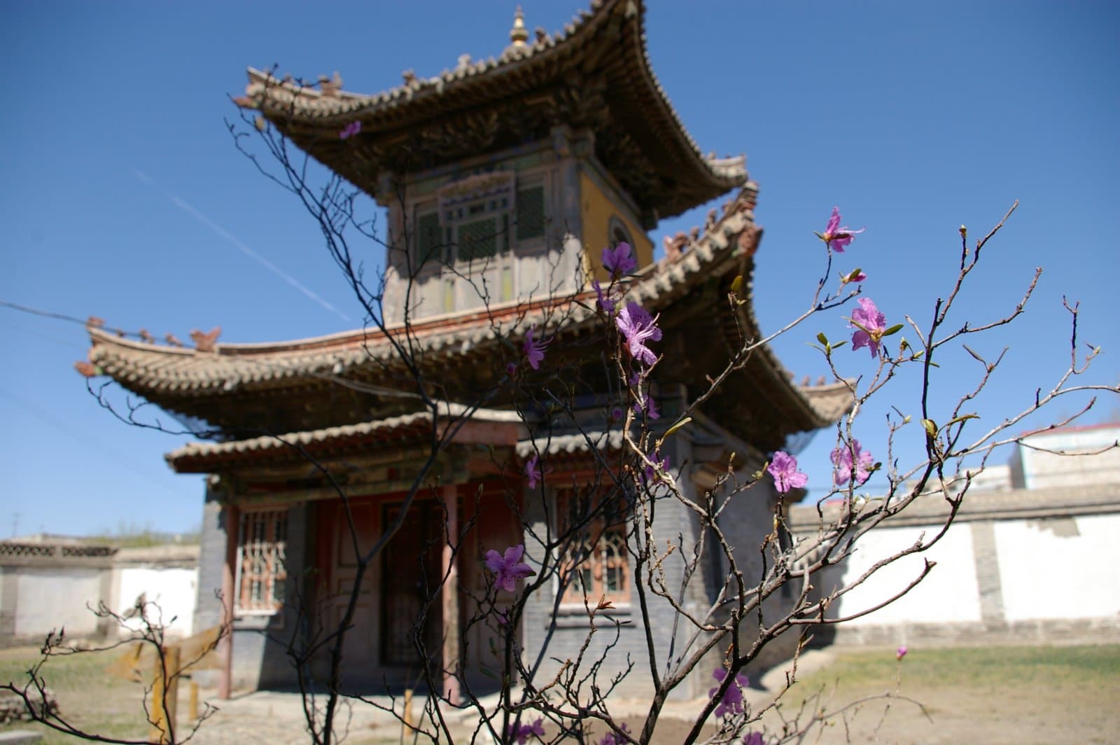Choijin Lama Temple