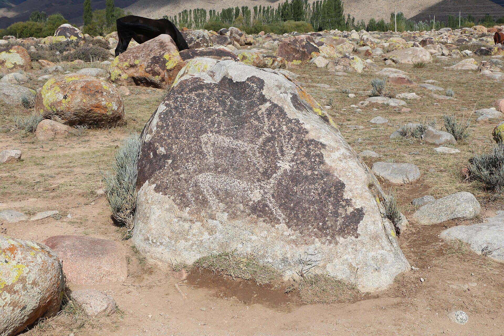 Cholpon-Ata Petroglyphs