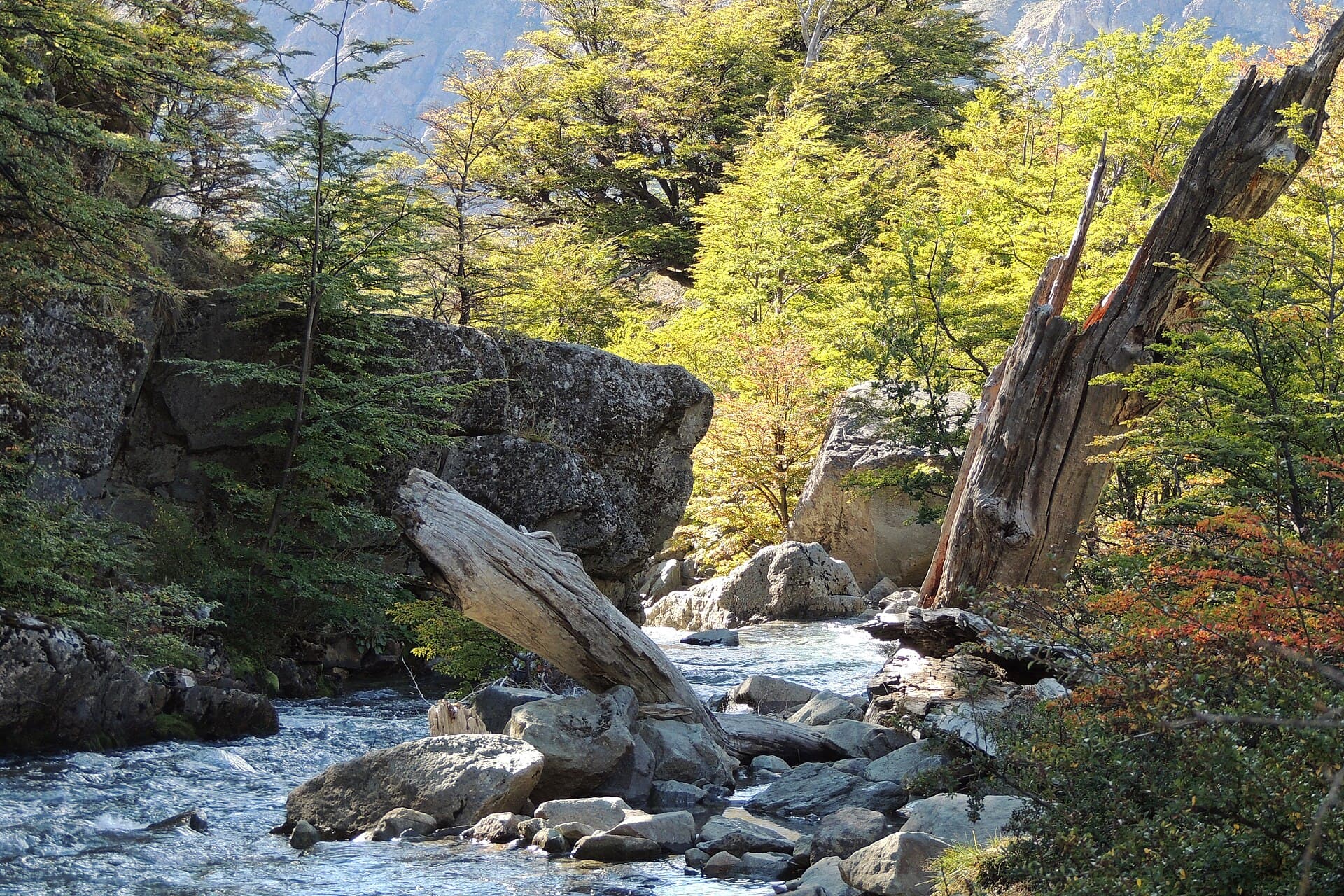 Chorrillo del Salto Waterfall, El Chaltén