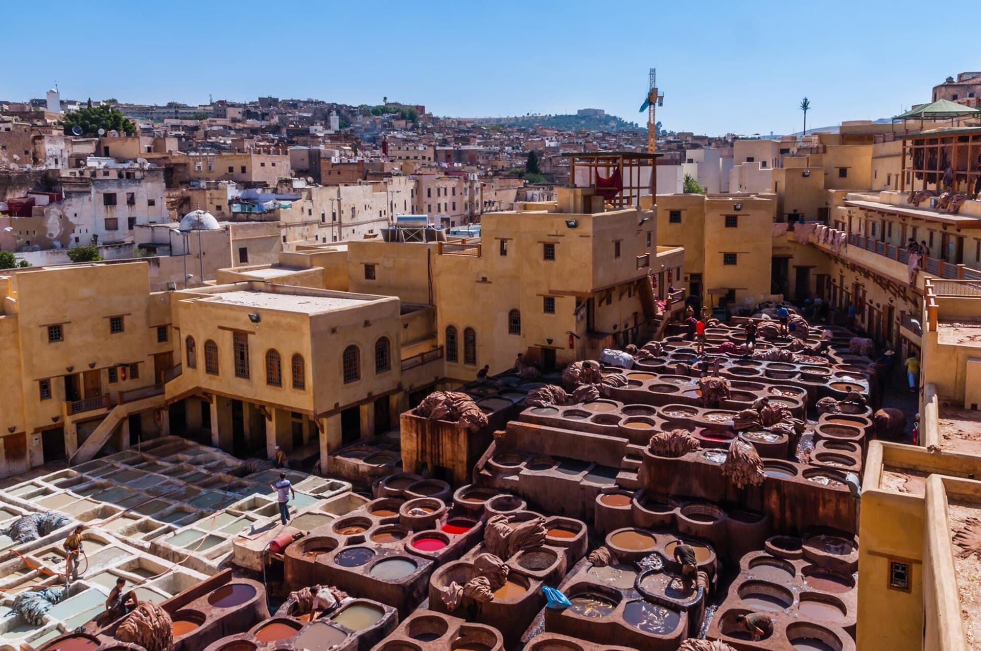 Chouara Tannery