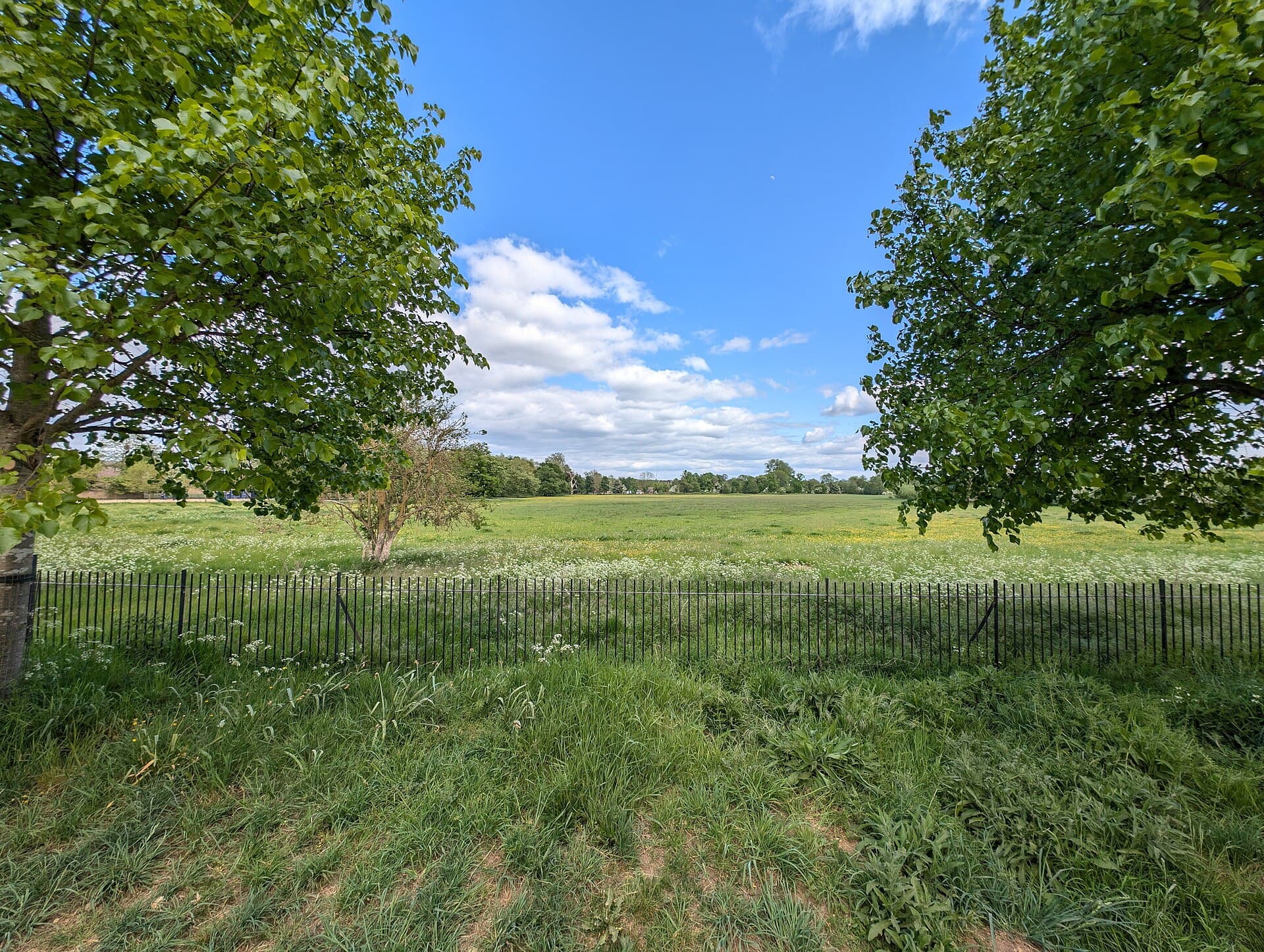 Christ Church Meadow, Oxford