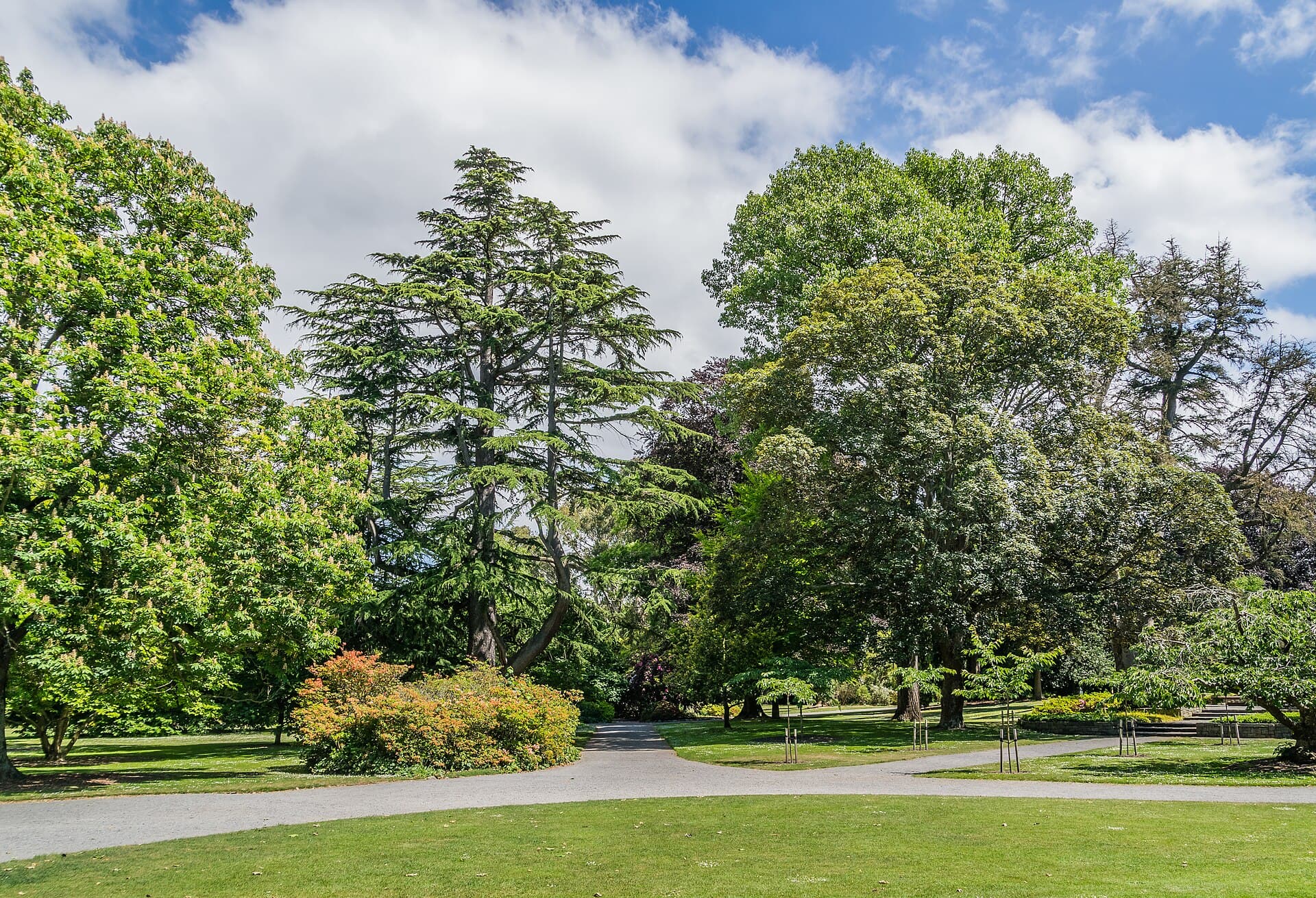 Botanic Gardens and Hagley Park, Christchurch