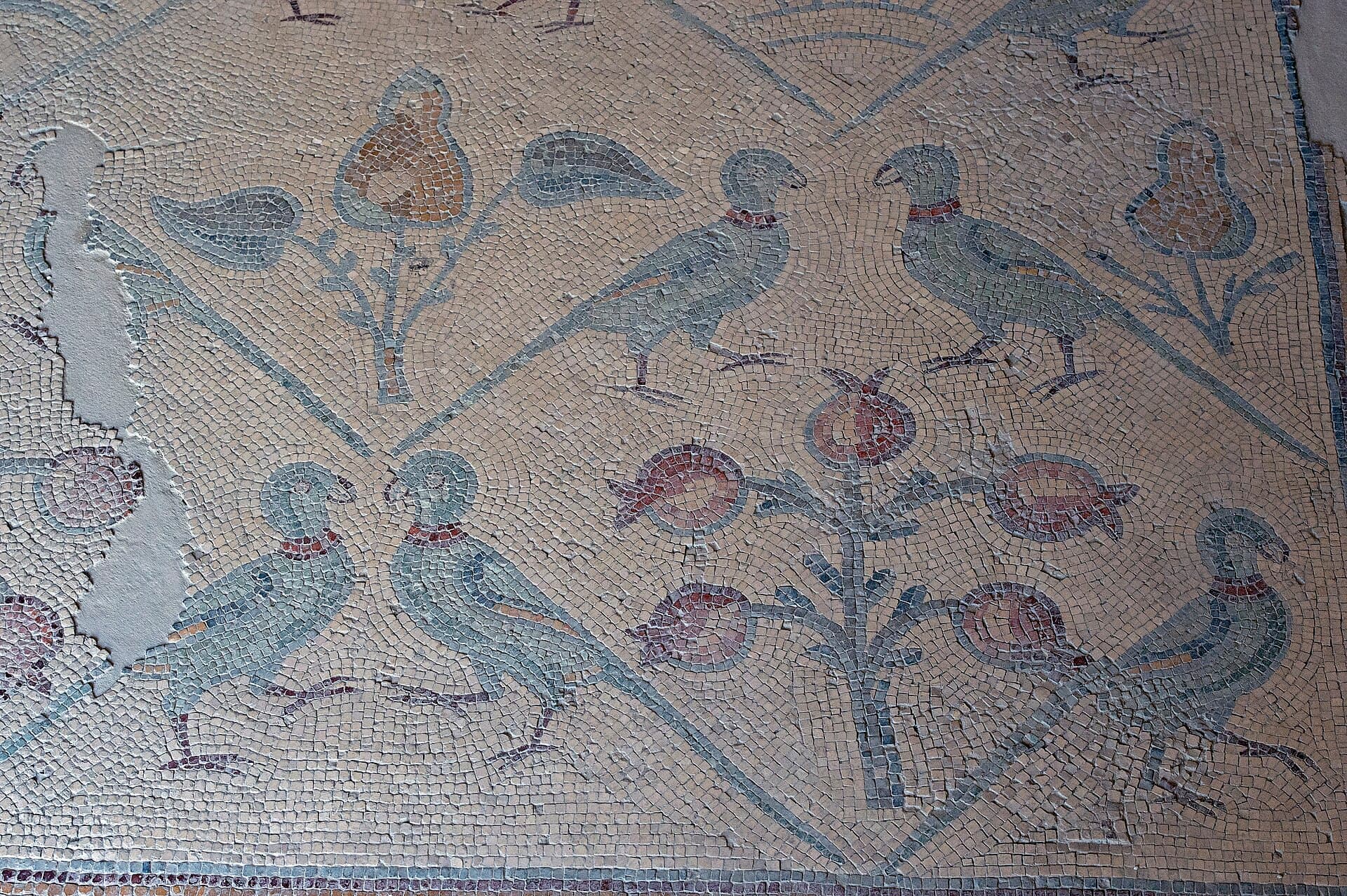 Church of the Apostles (Madaba), Madaba
