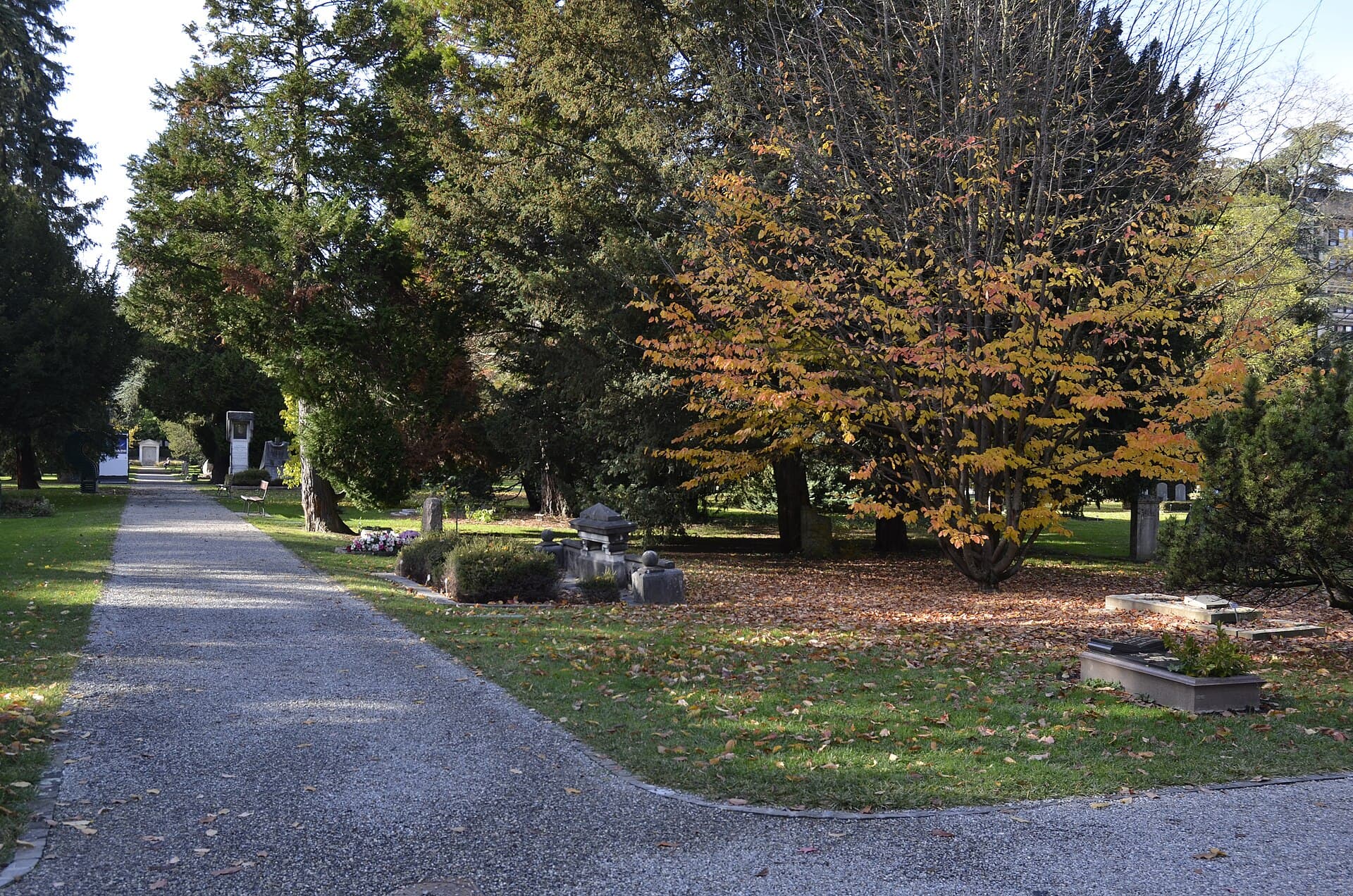 Cimetière des Rois (Plainpalais), Geneva