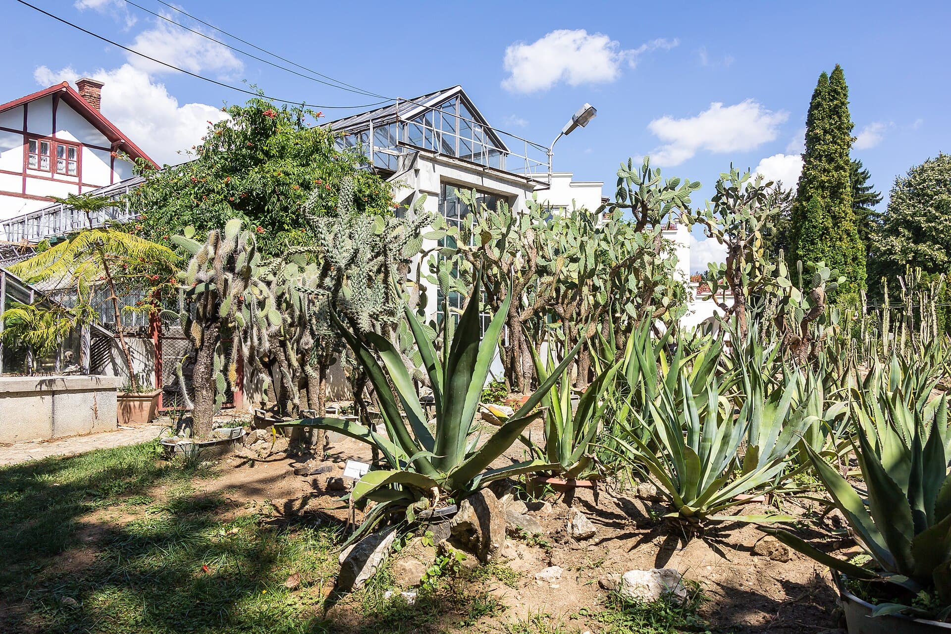Alexandru Borza Botanical Garden, Cluj-Napoca