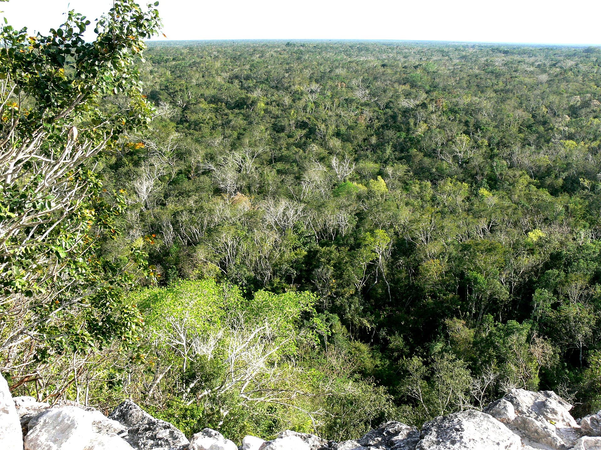 Nohoch Mul, Coba