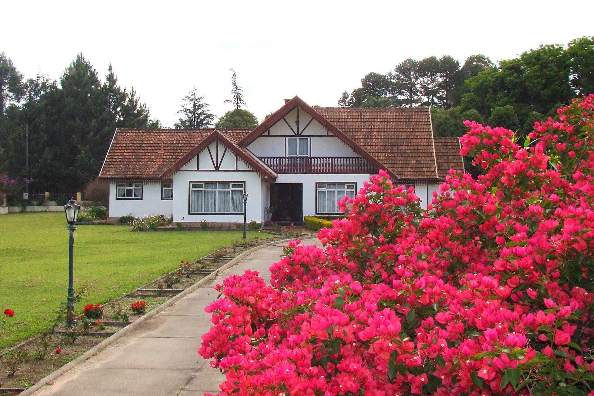 Colônia Witmarsum, Palmeira