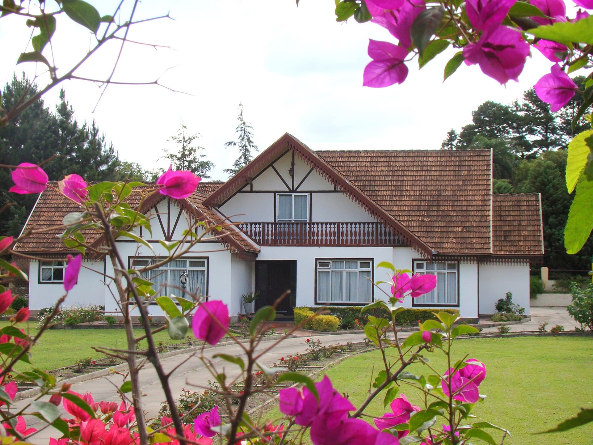 Colônia Witmarsum, Palmeira