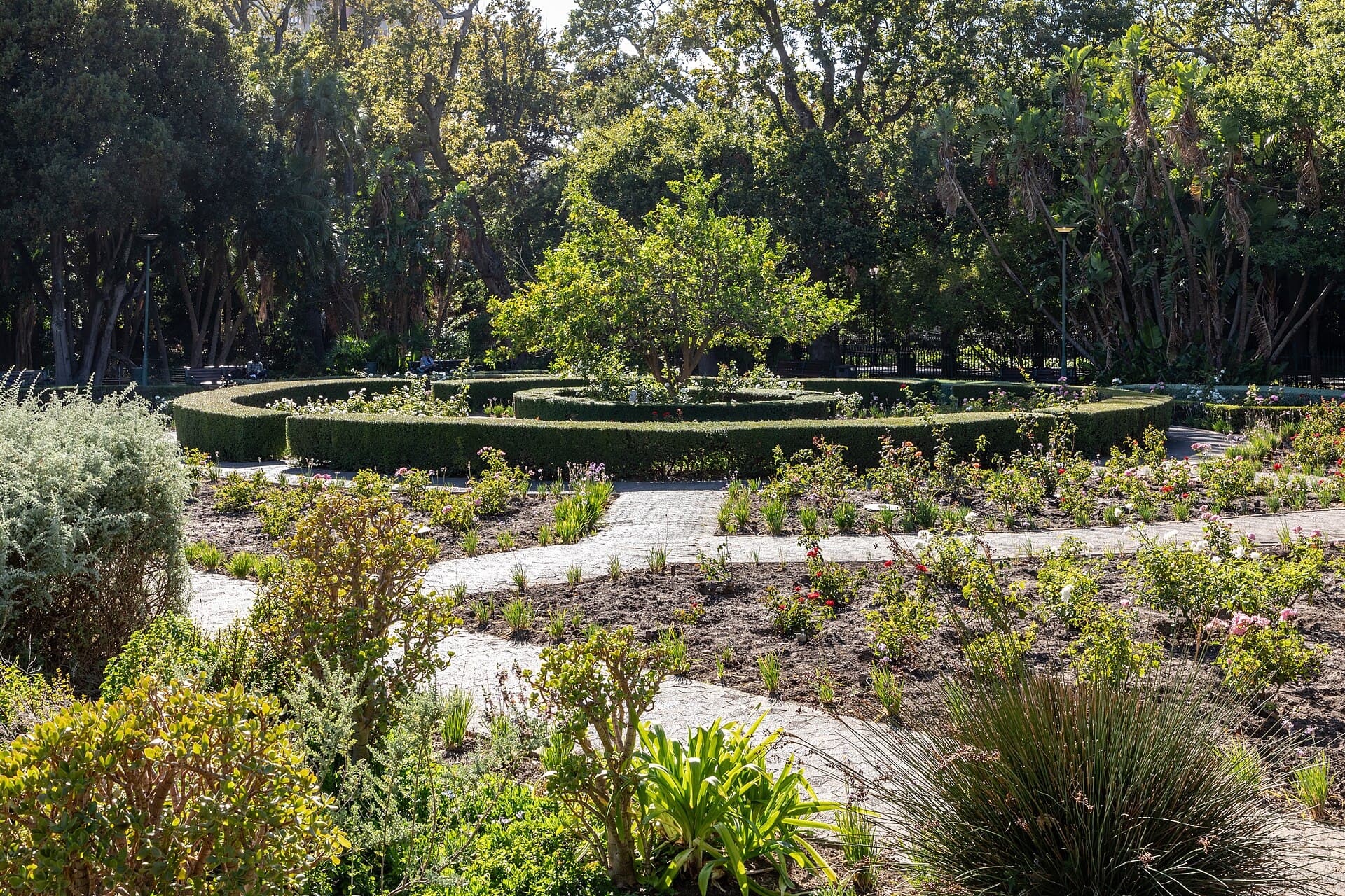 Company's Garden, Cape Town