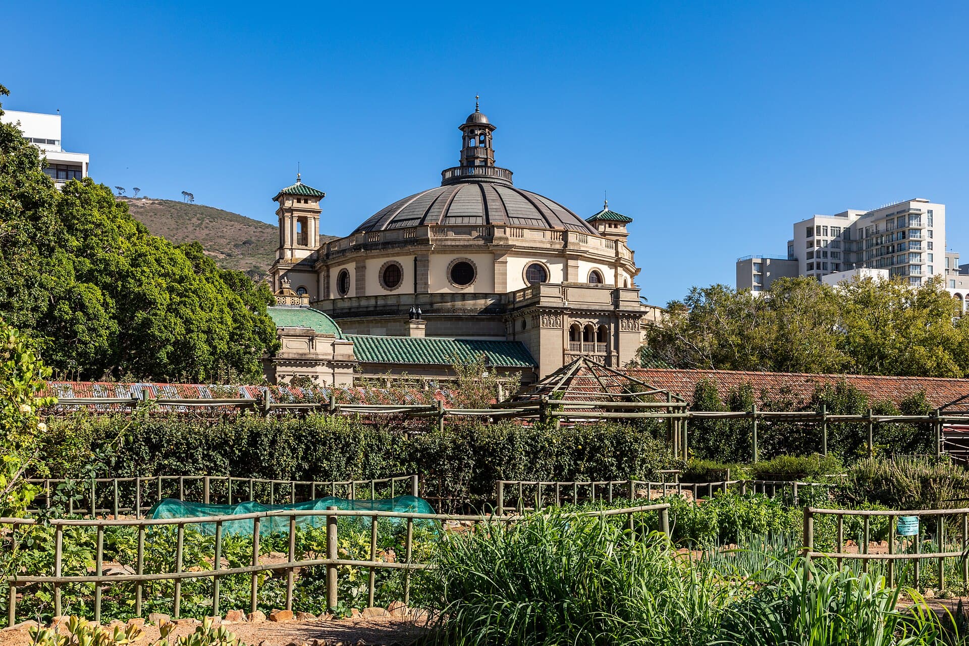 Company's Garden, Cape Town