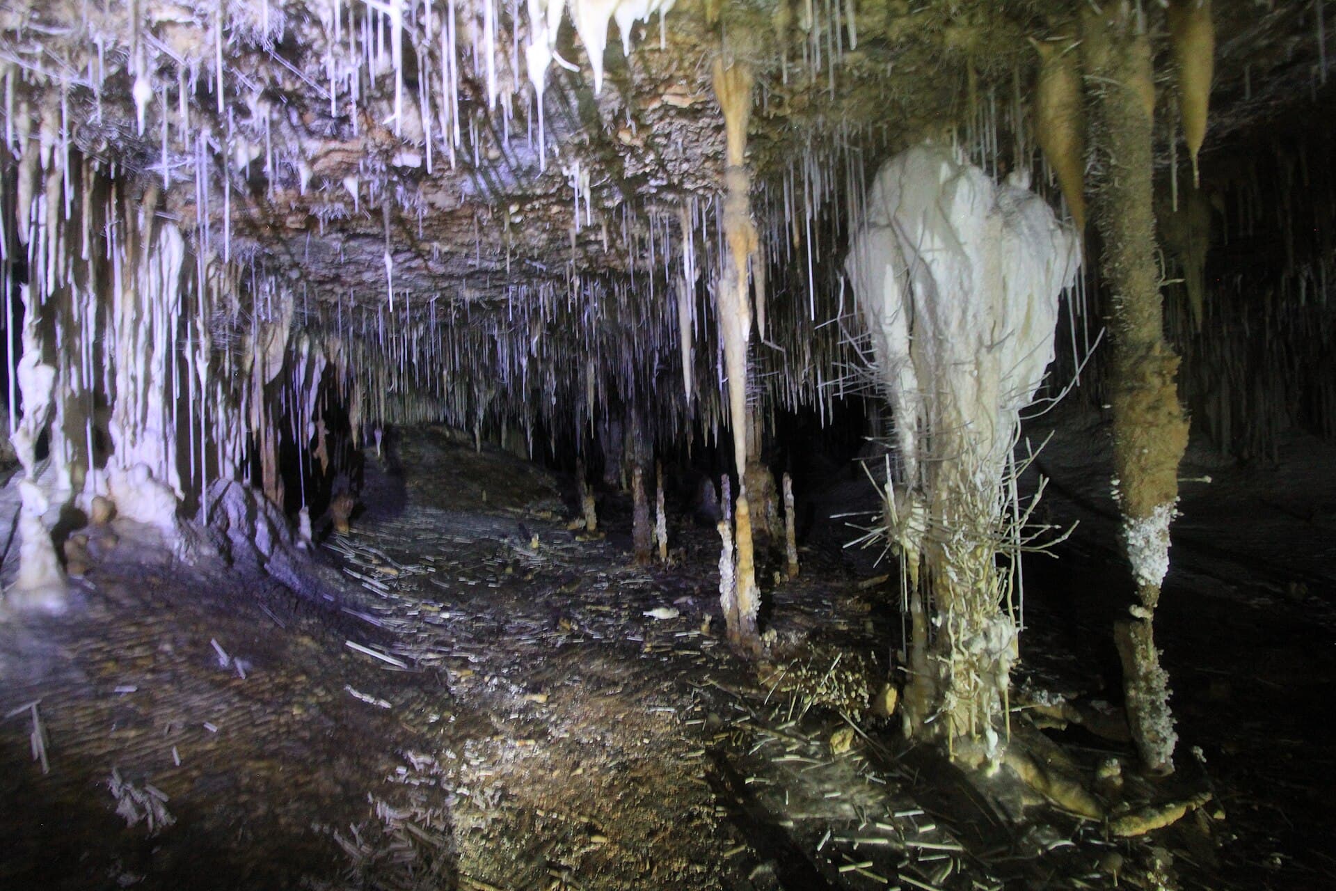 São Mateus Cave Complex, Terra Ronca, São Domingos