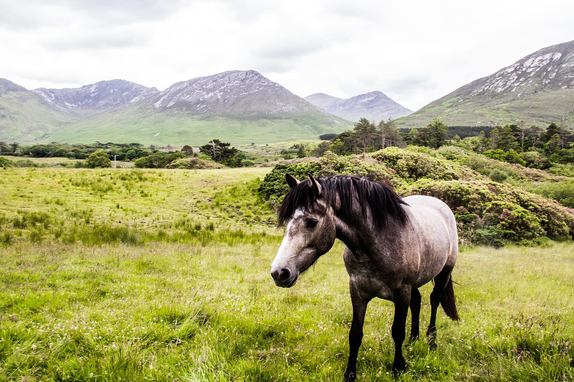 Connemara National Park