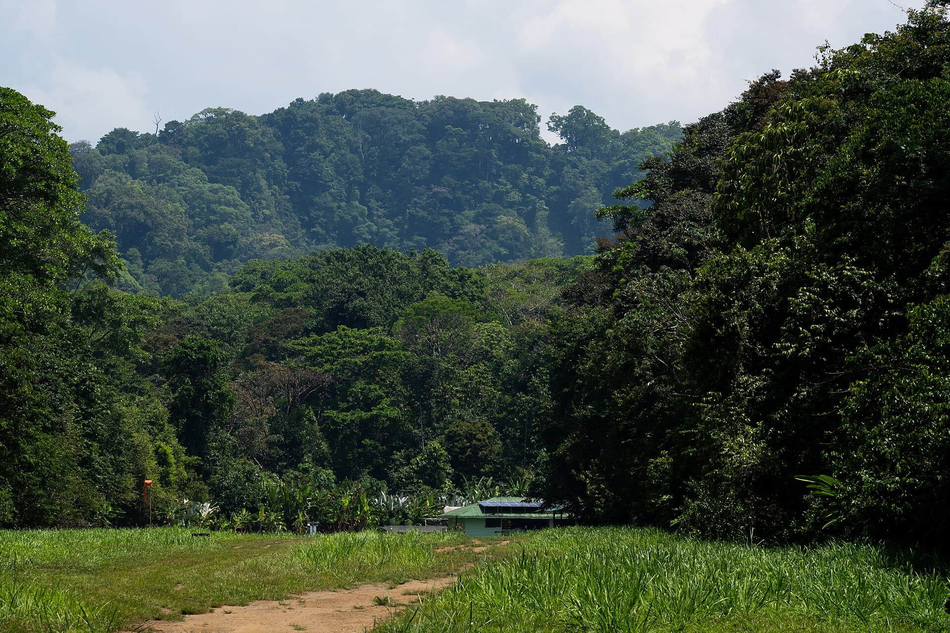 Corcovado National Park