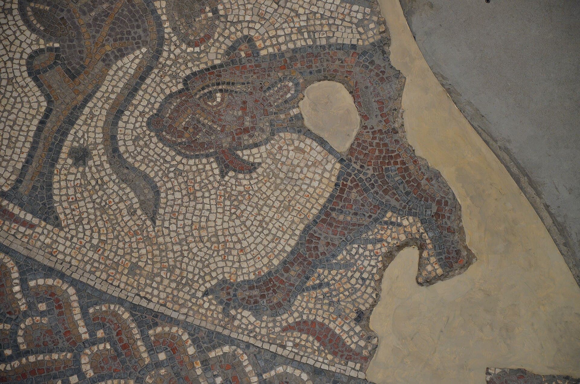 Corinium Museum, Cotswolds