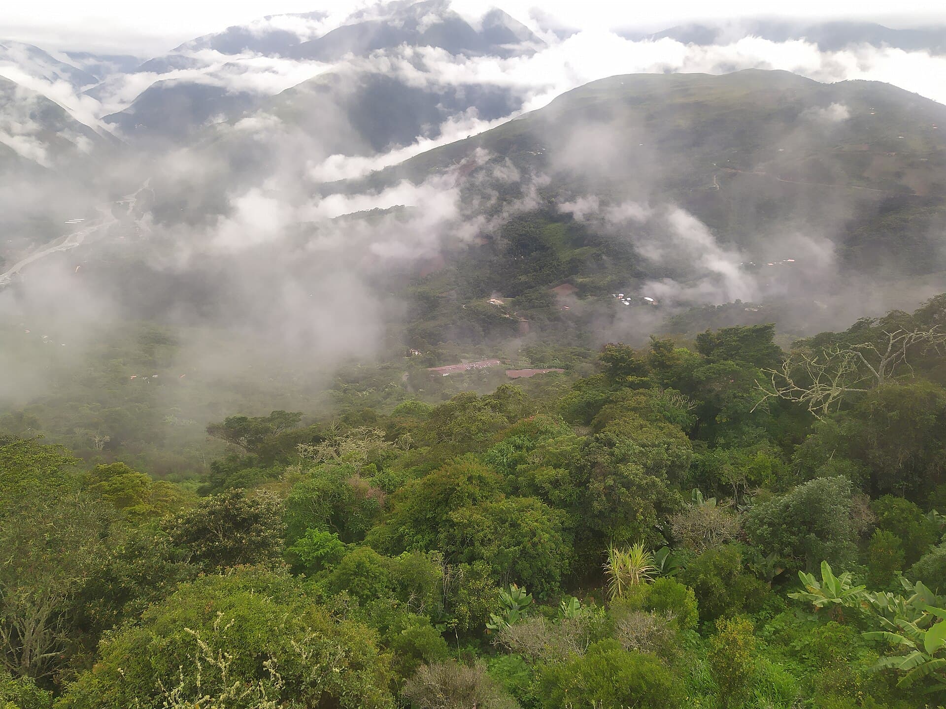 Coroico in the Yungas