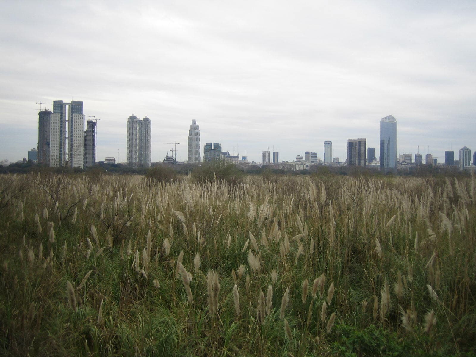 Costanera Sur Ecological Reserve