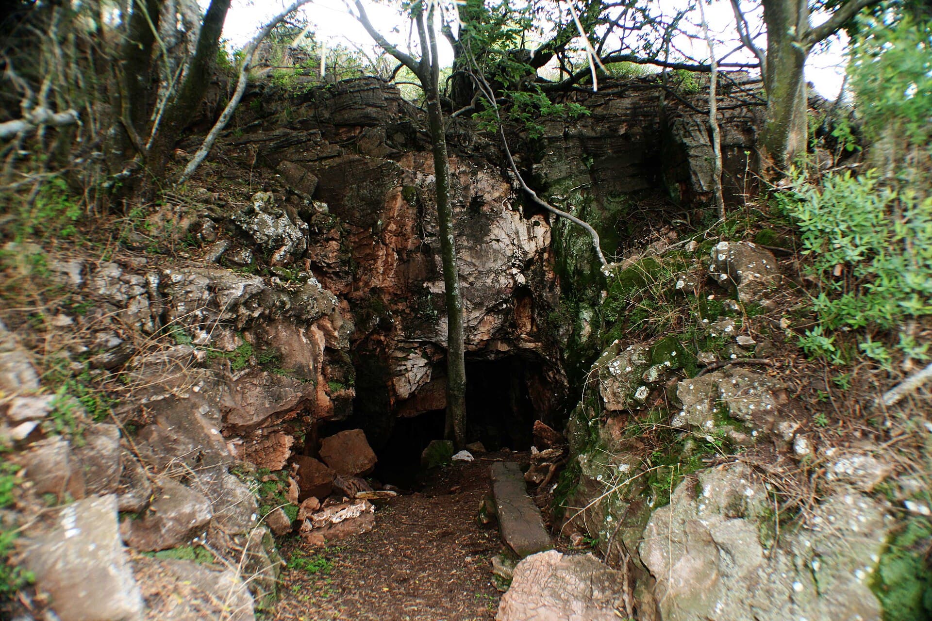 Cradle of Humankind (Maropeng and Sterkfontein Caves)