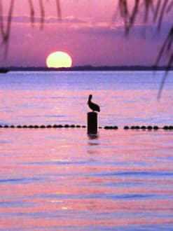 Key Biscayne and Crandon Park