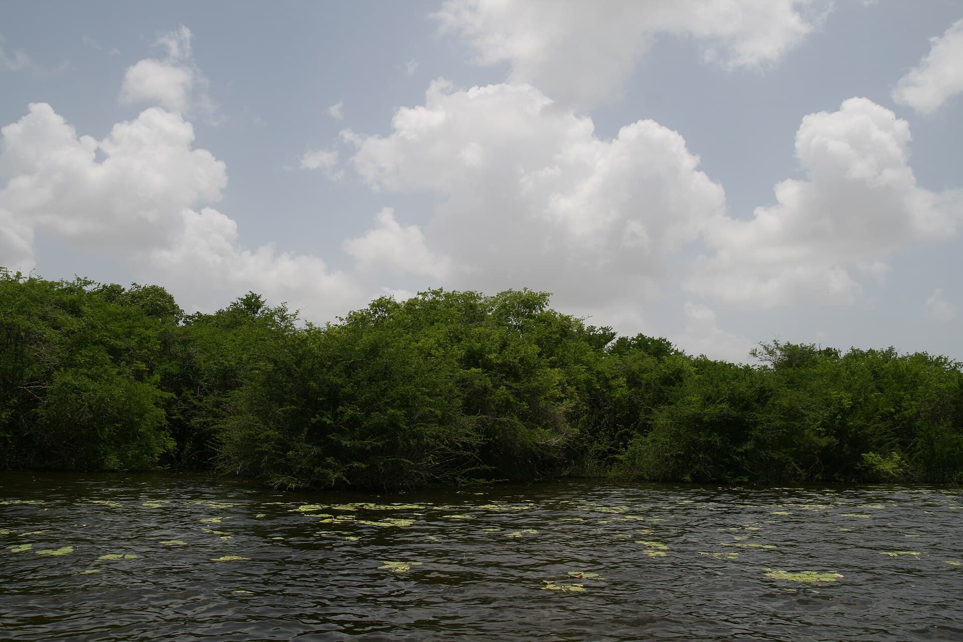 Crooked Tree wildlife sanctuary