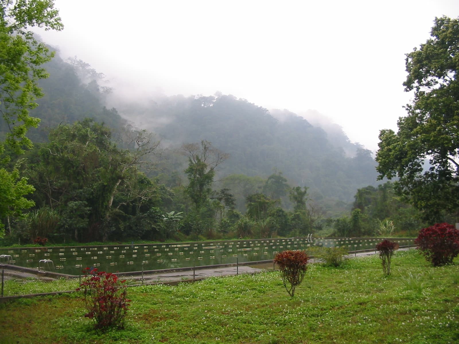 Cuc Phuong National Park, Ninh Binh