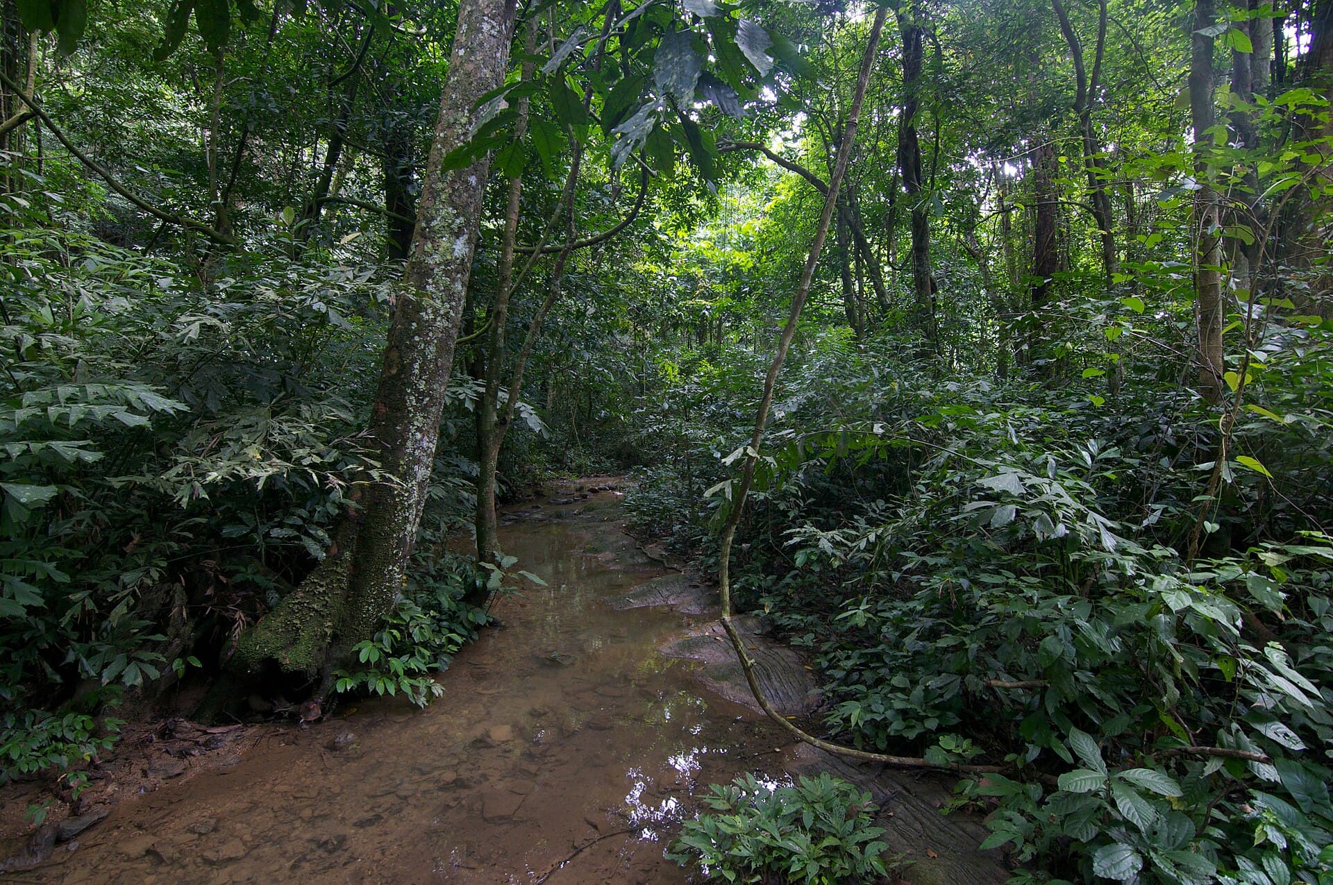 Cuc Phuong National Park