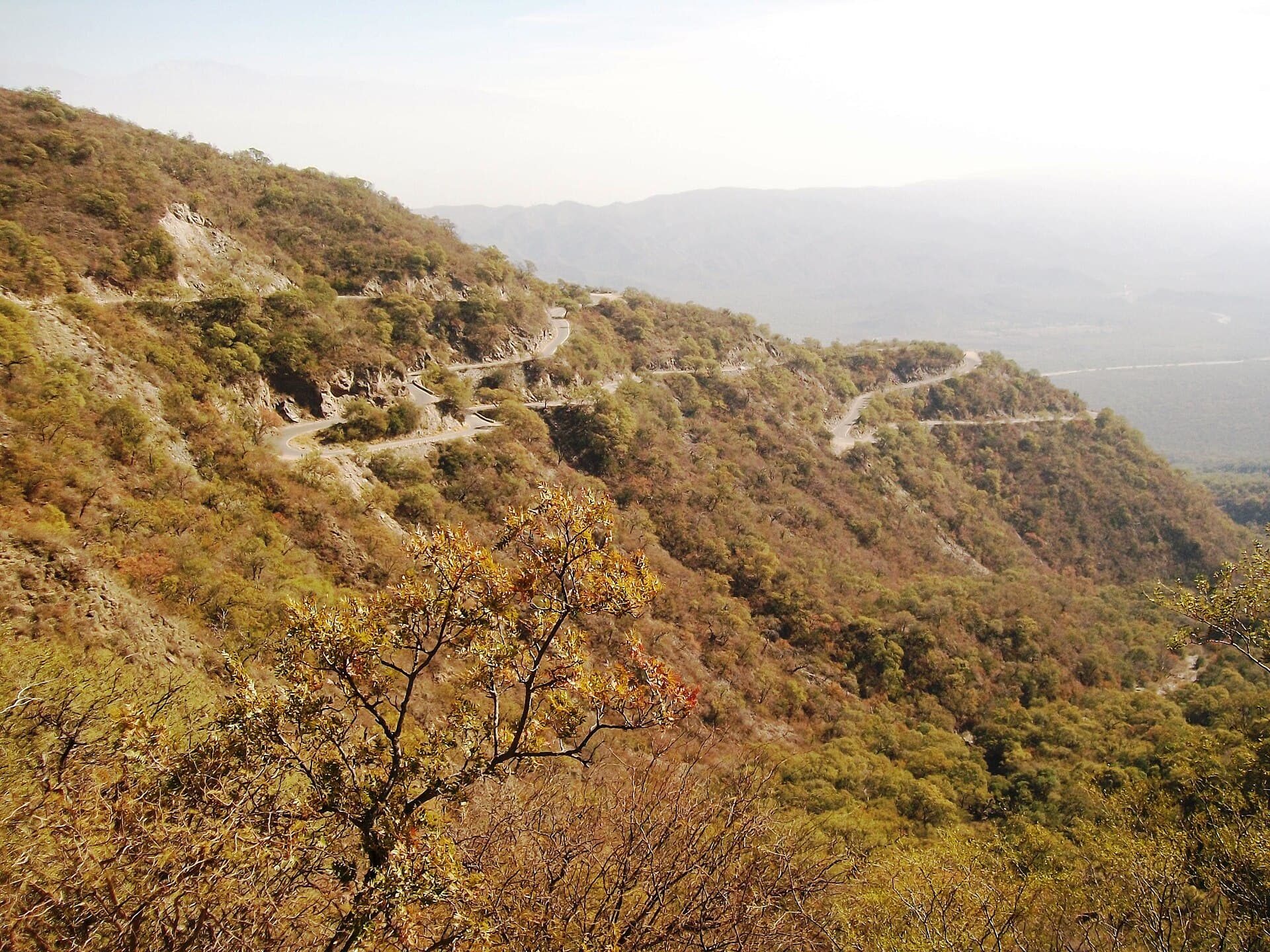 Cuesta del Portezuelo, Catamarca