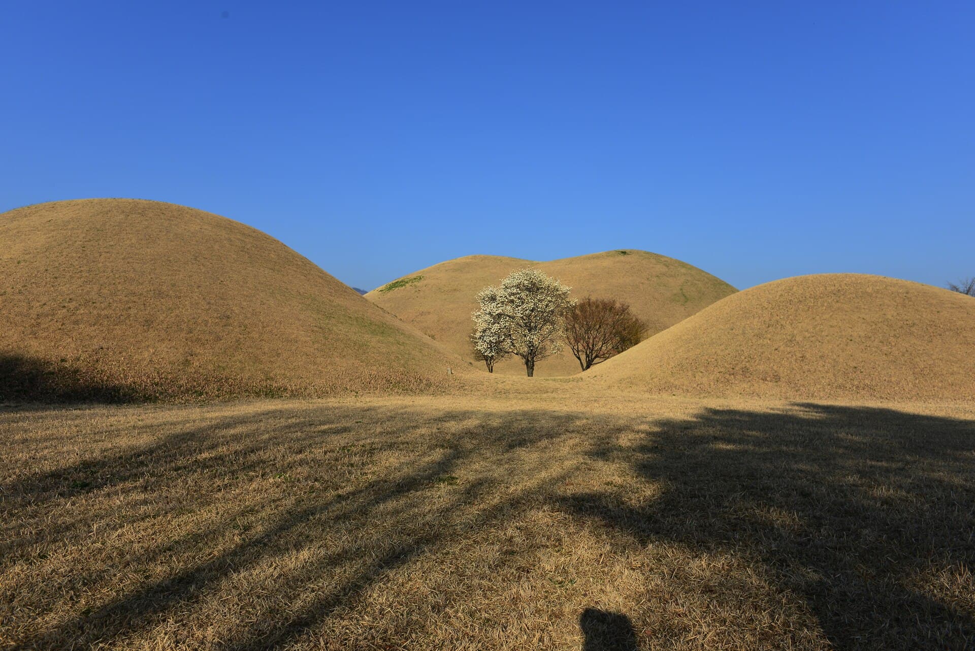 Daereungwon Tomb Complex, Gyeongju