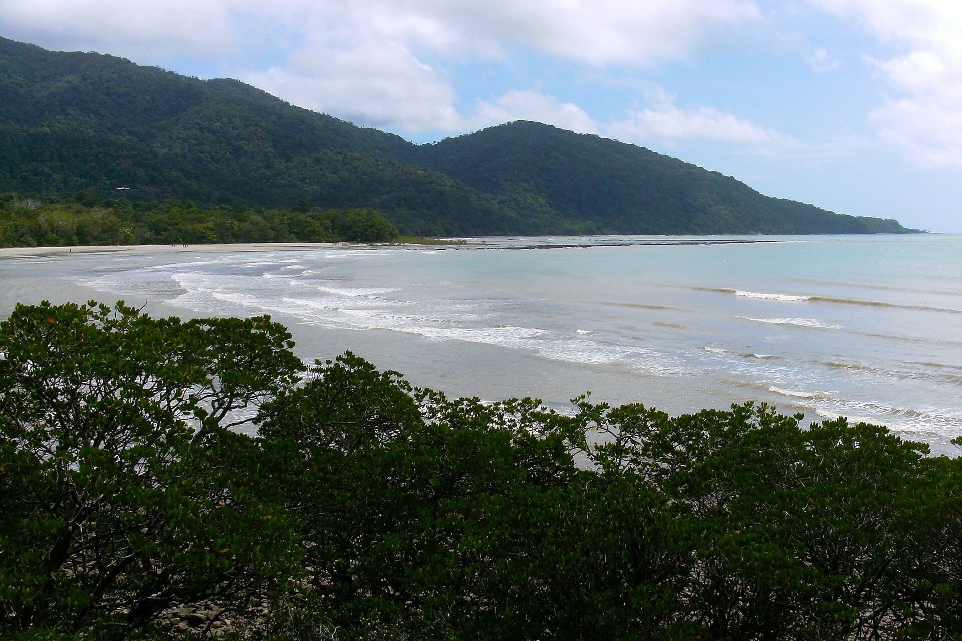 Daintree Rainforest and Cape Tribulation