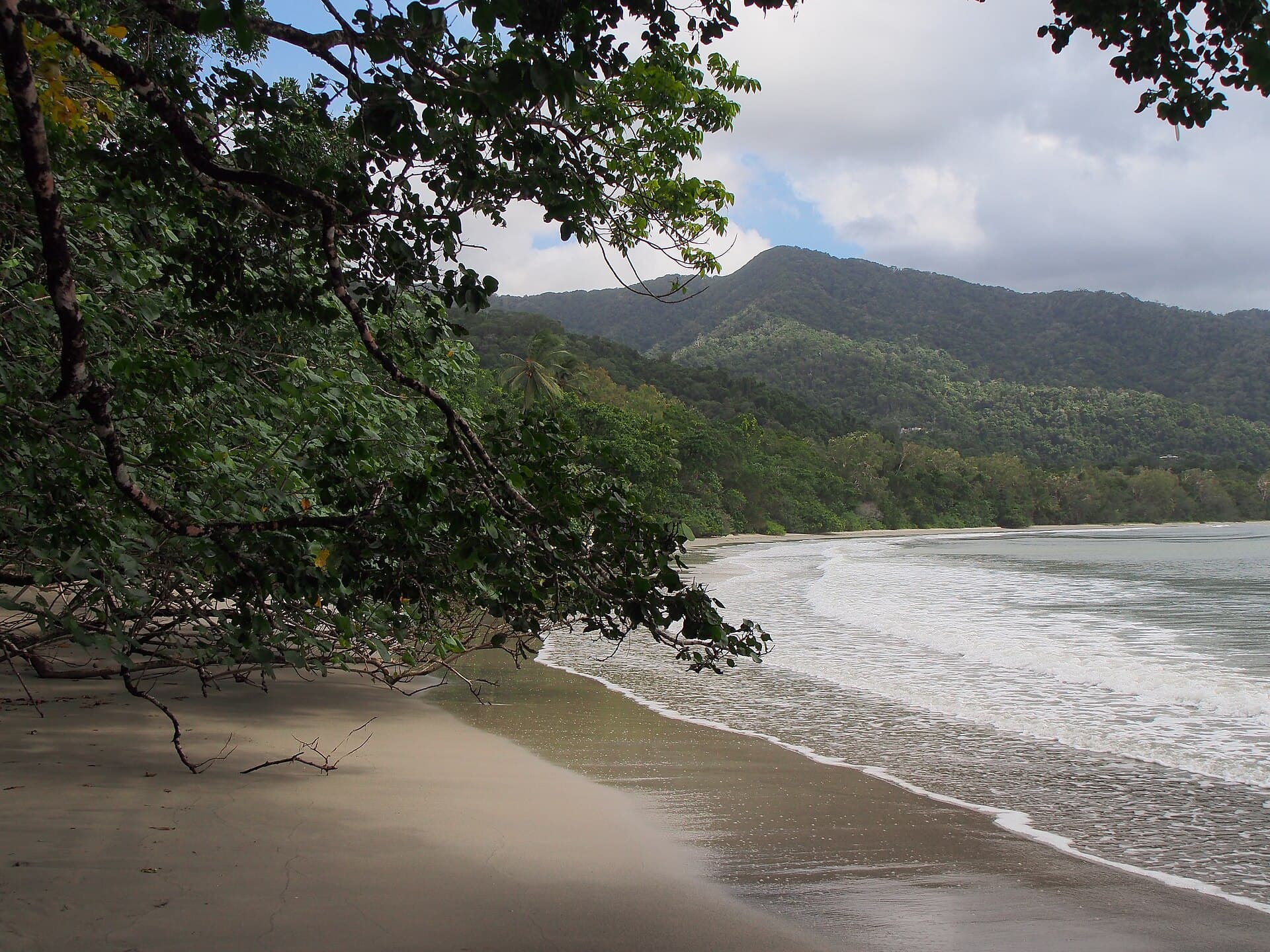 Daintree Rainforest and Cape Tribulation
