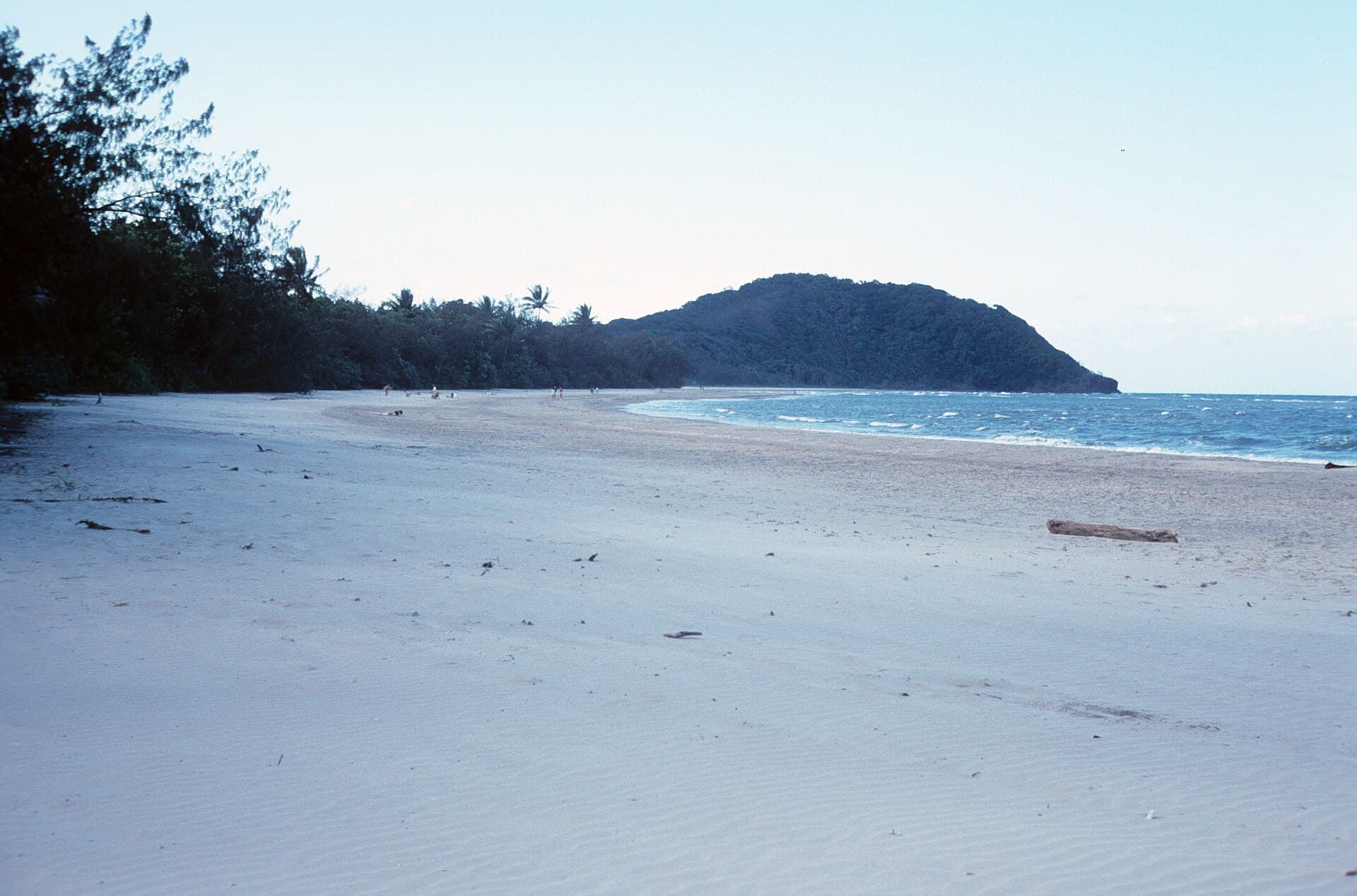 Daintree Rainforest and Cape Tribulation
