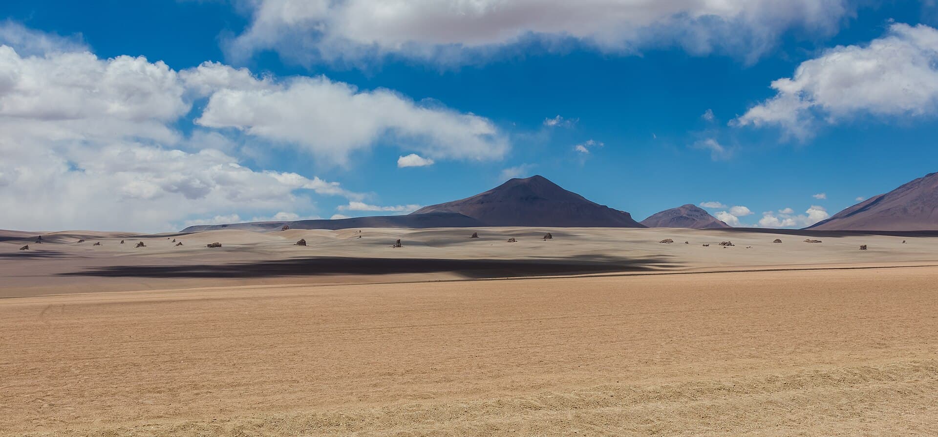صحراء دالي