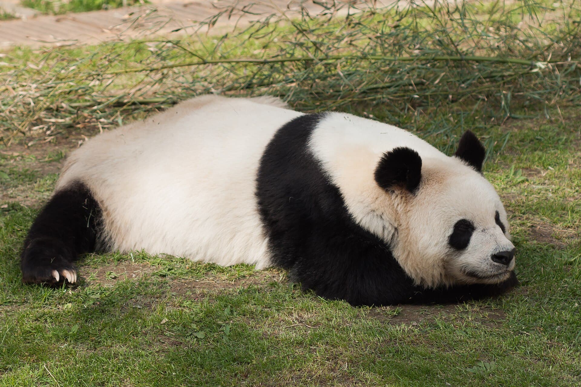 Dalian Forest Zoo