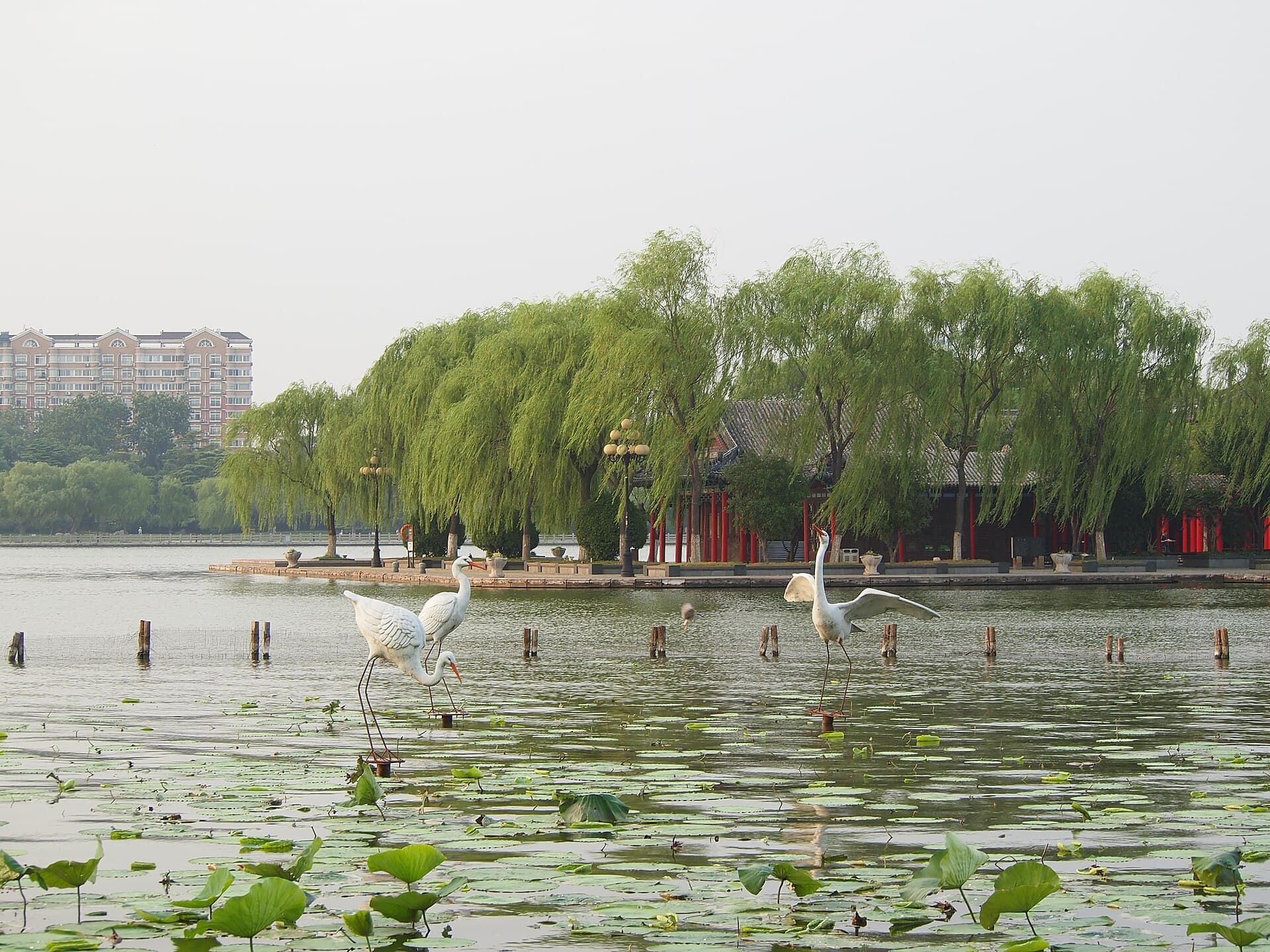 Daming Lake