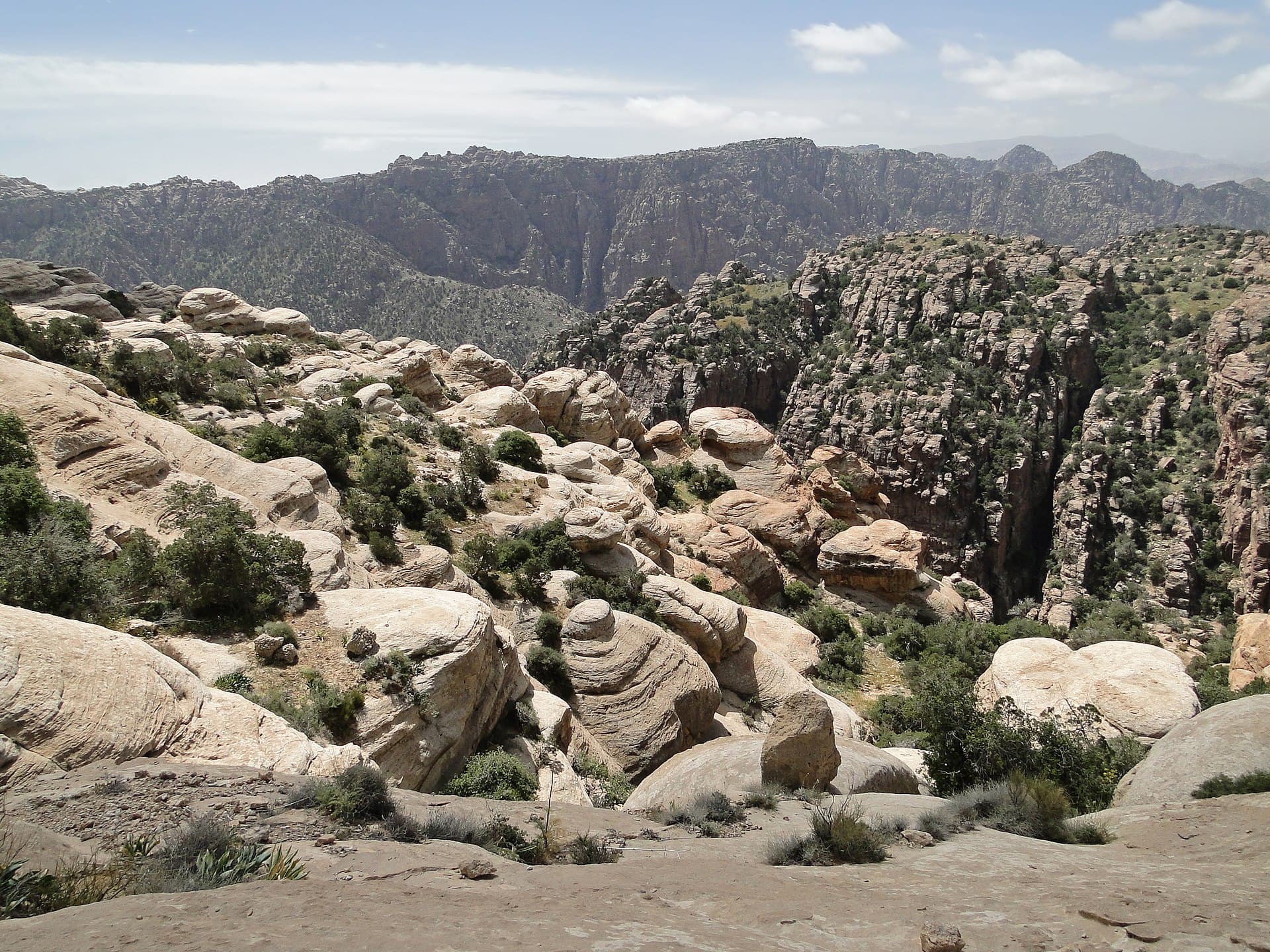 Dana Biosphere Reserve, Dana