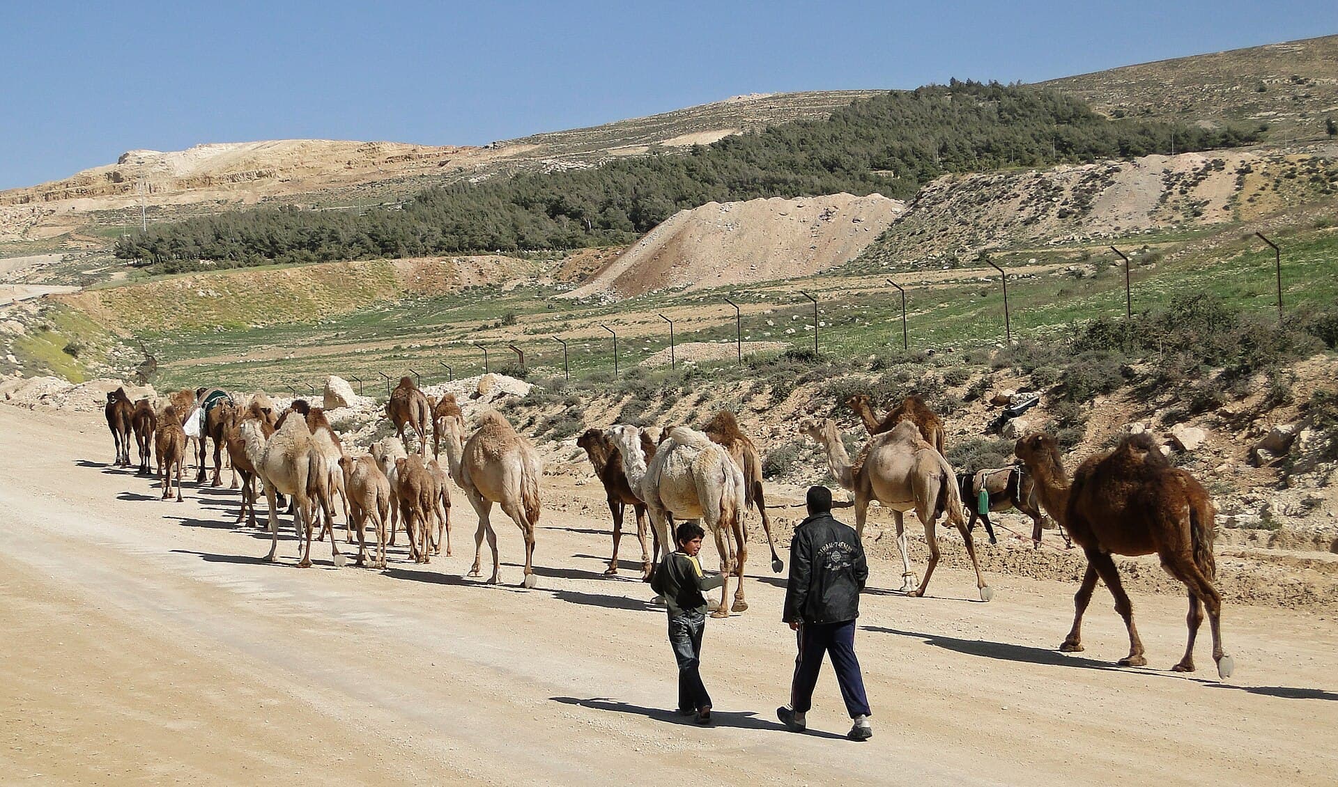 Dana Biosphere Reserve, Dana