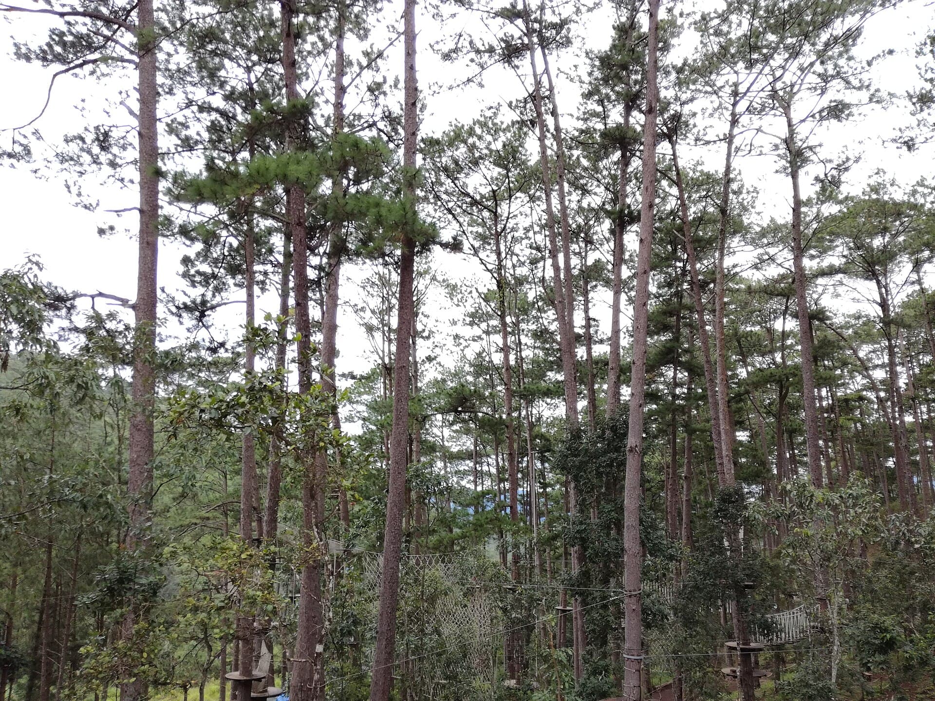Datanla Falls, Da Lat