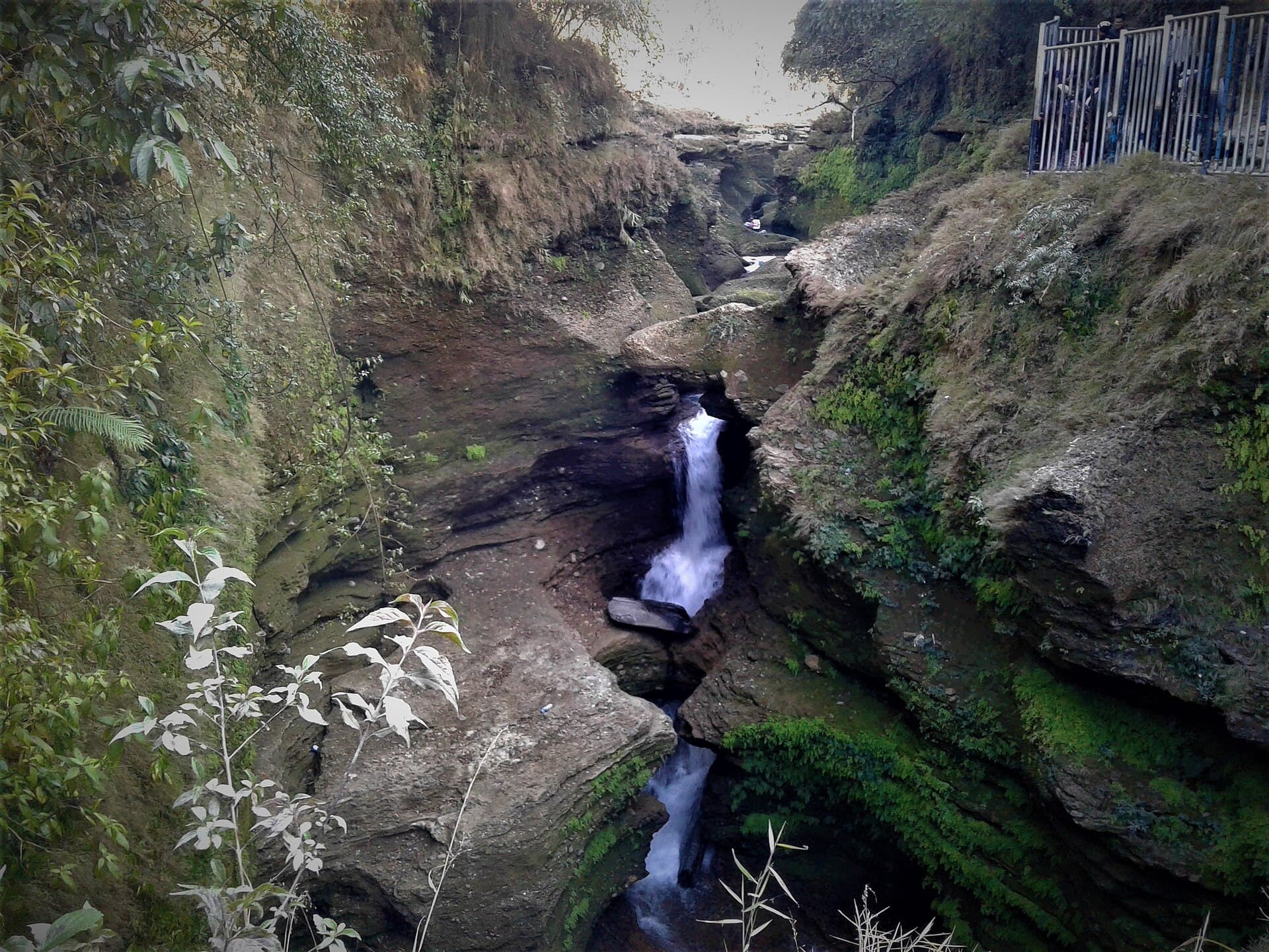 Davis Falls